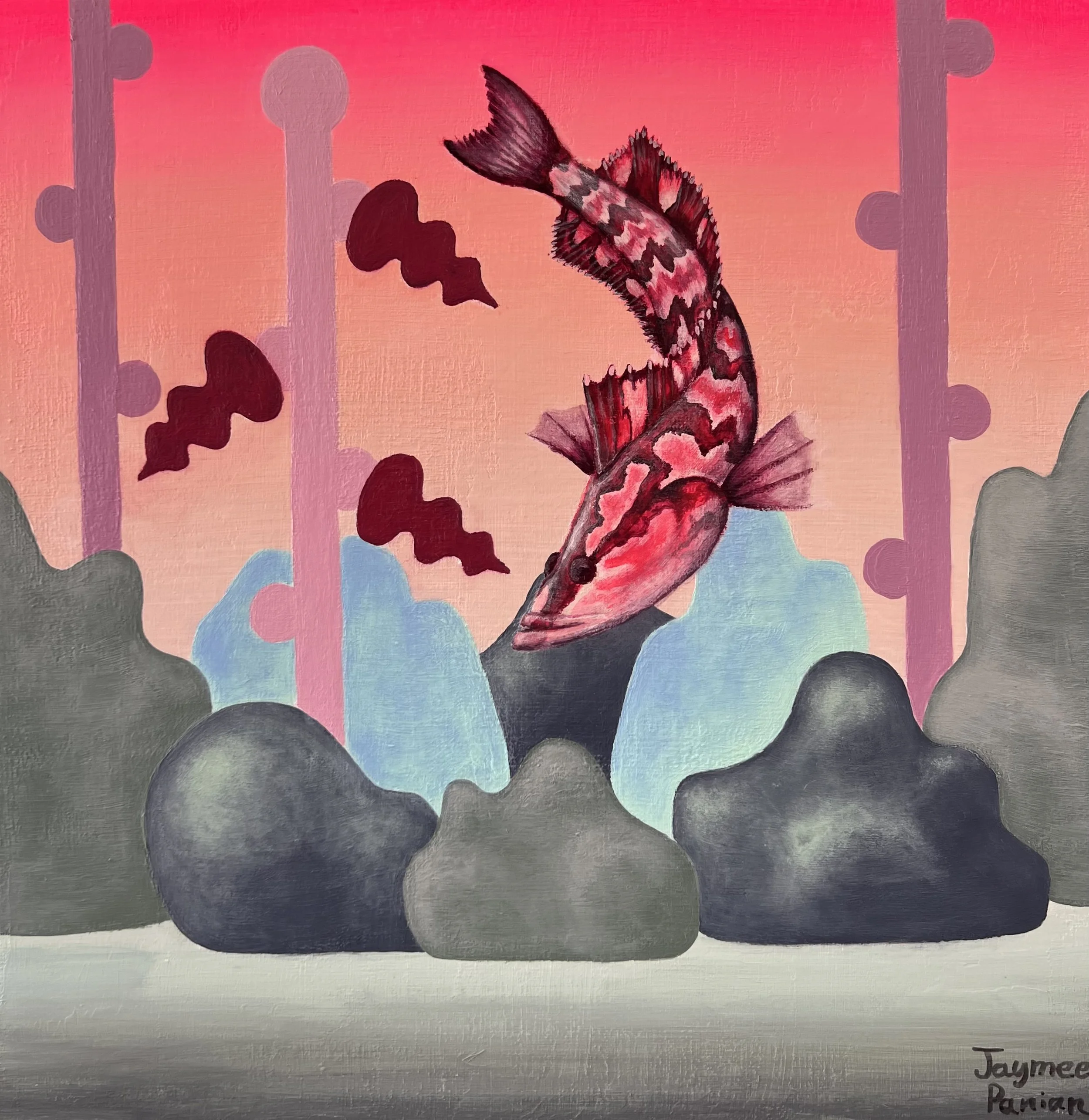 "The Giant Kelpfish"
12" X 12"