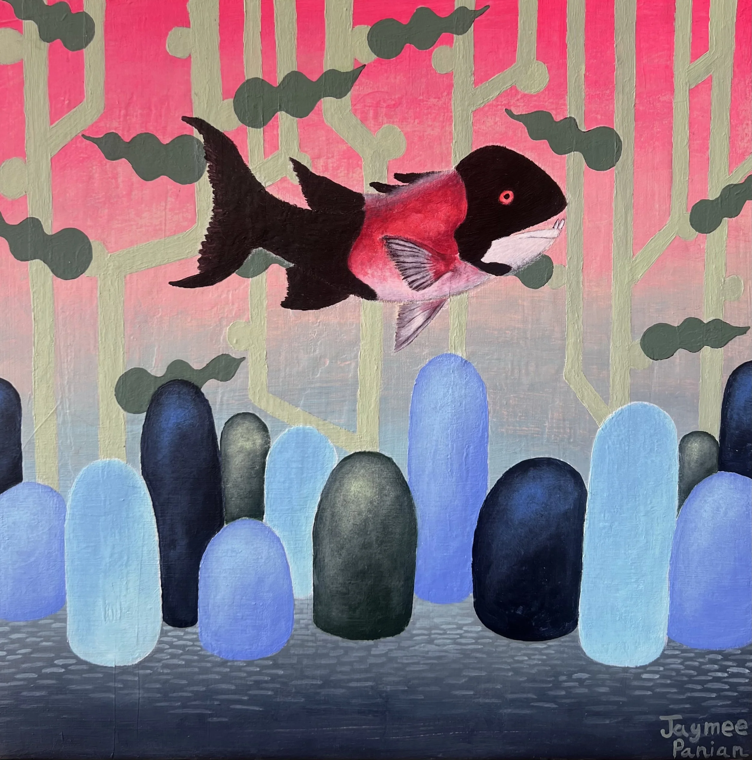 "The Sheephead"
12" X 12"