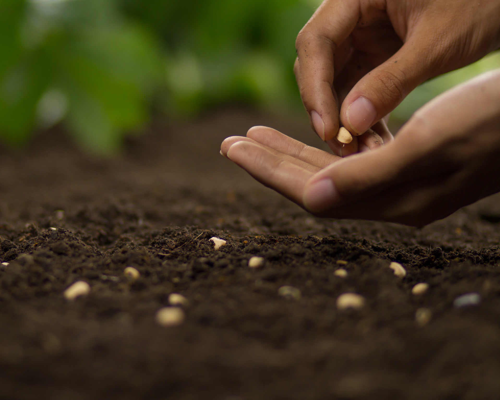 Spring Breathwork Series - Part 1: Planting Intentions