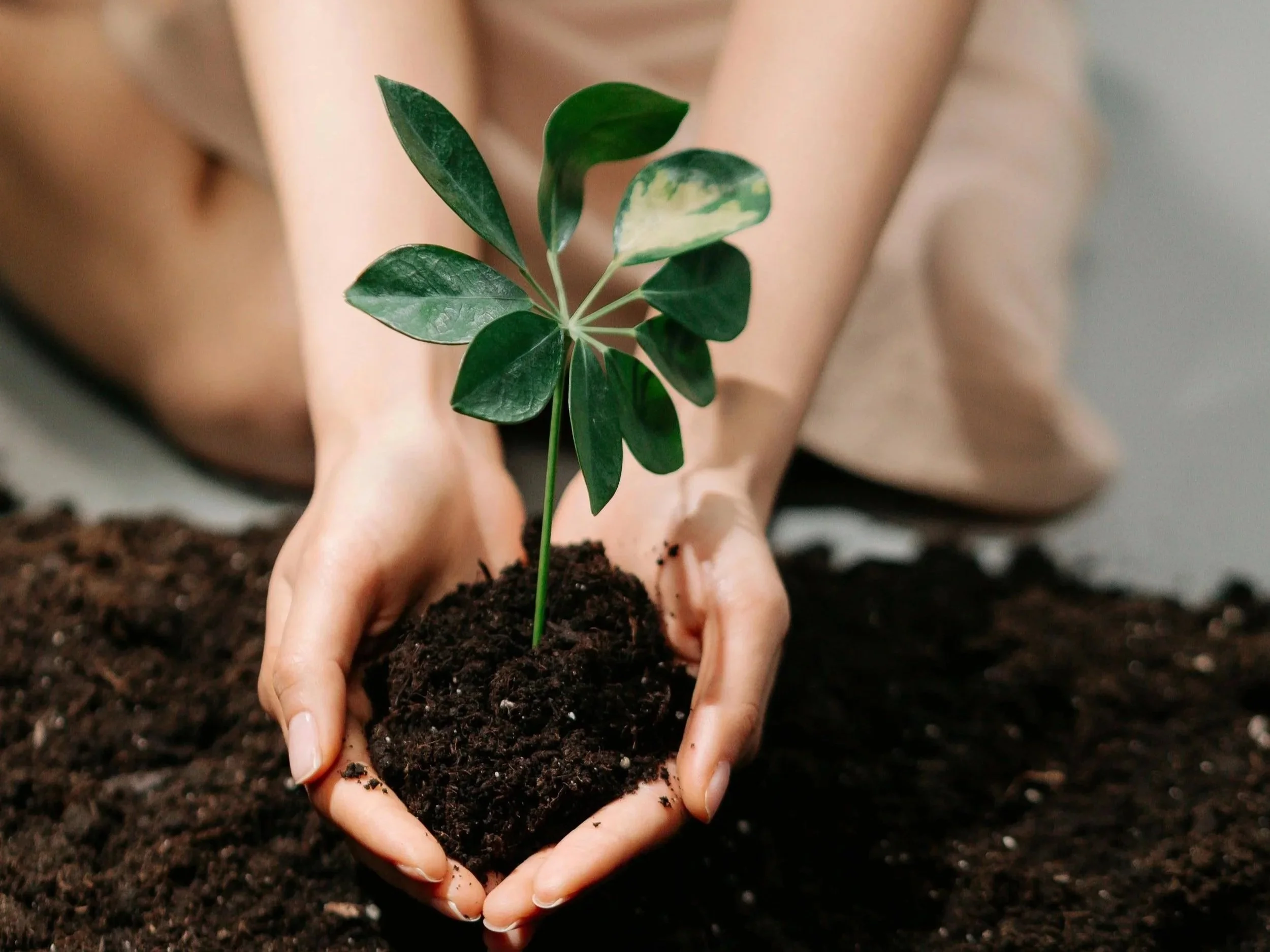 Spring Breathwork Series - Part 2: Nurture &amp; Grow