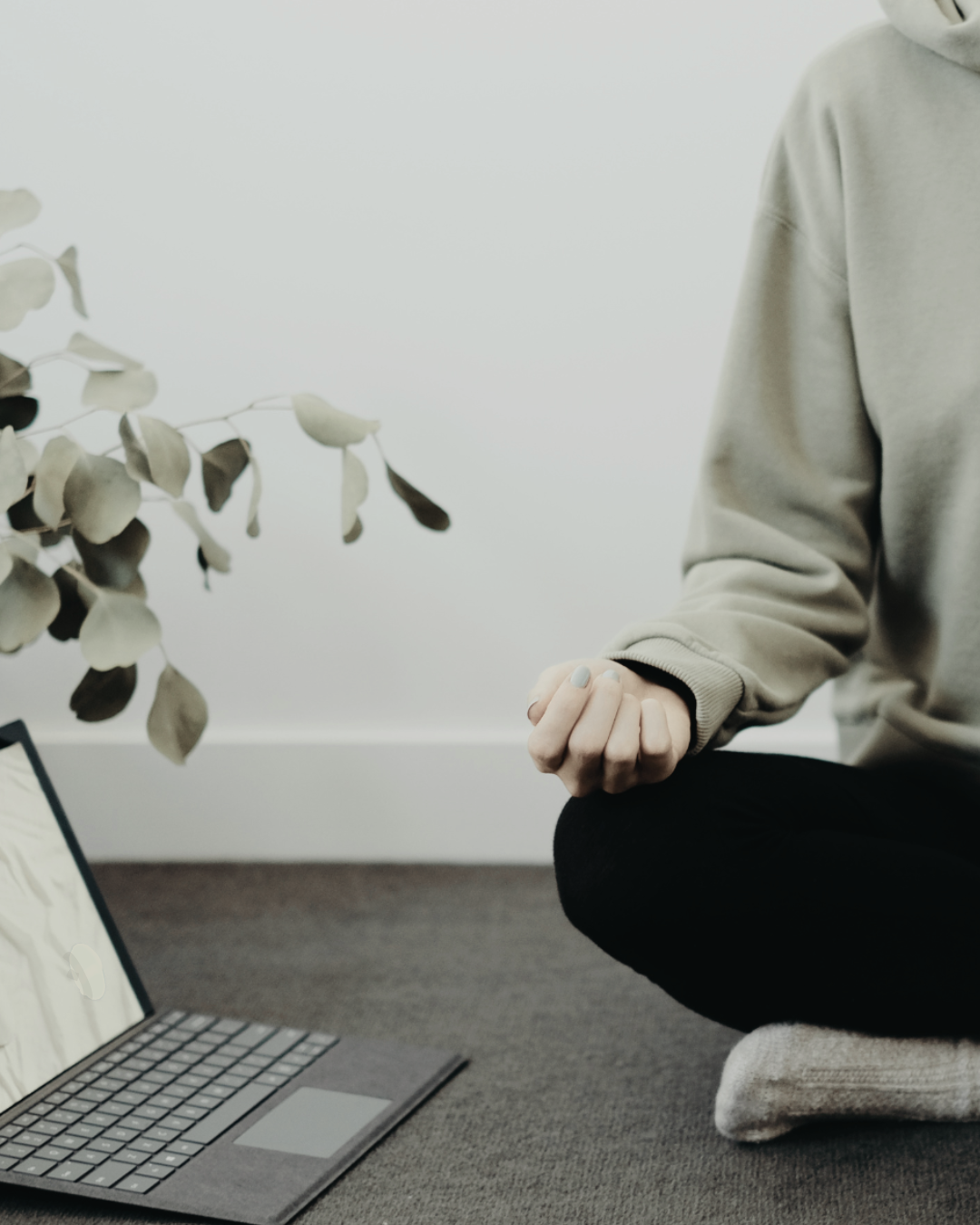 Person sitting cross-legged on carpeted floor next to a laptop and a plant with light-colored leaves, wearing a beige hoodie and black pants.