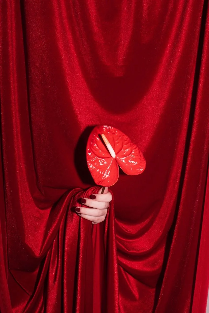 A person holding a red anthurium flower and a matchstick in front of a red curtain, with their hand and nails painted dark red.
