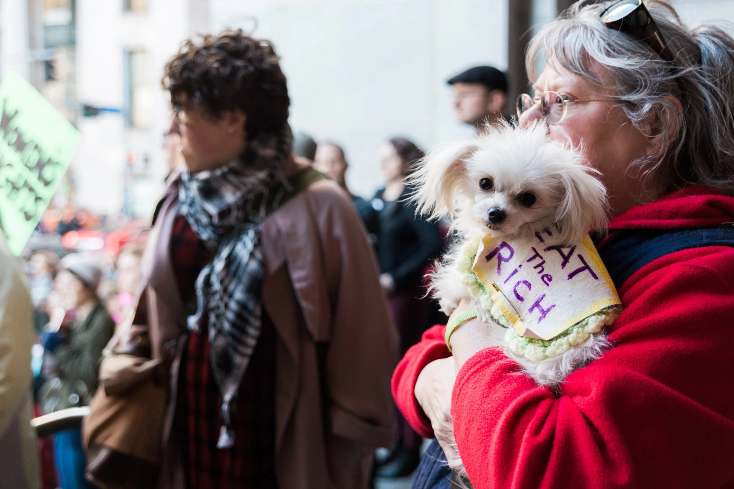 Pittsburgh International Women's Strike. Pennsylvania. 2017.