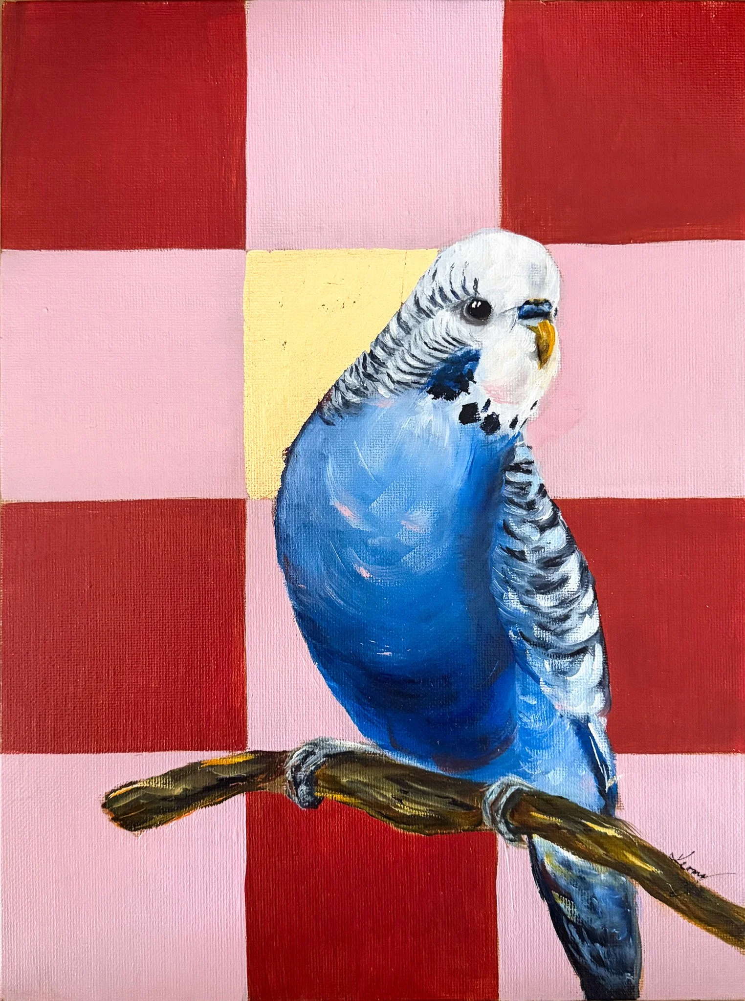 Budgie with Squares_Small.jpg