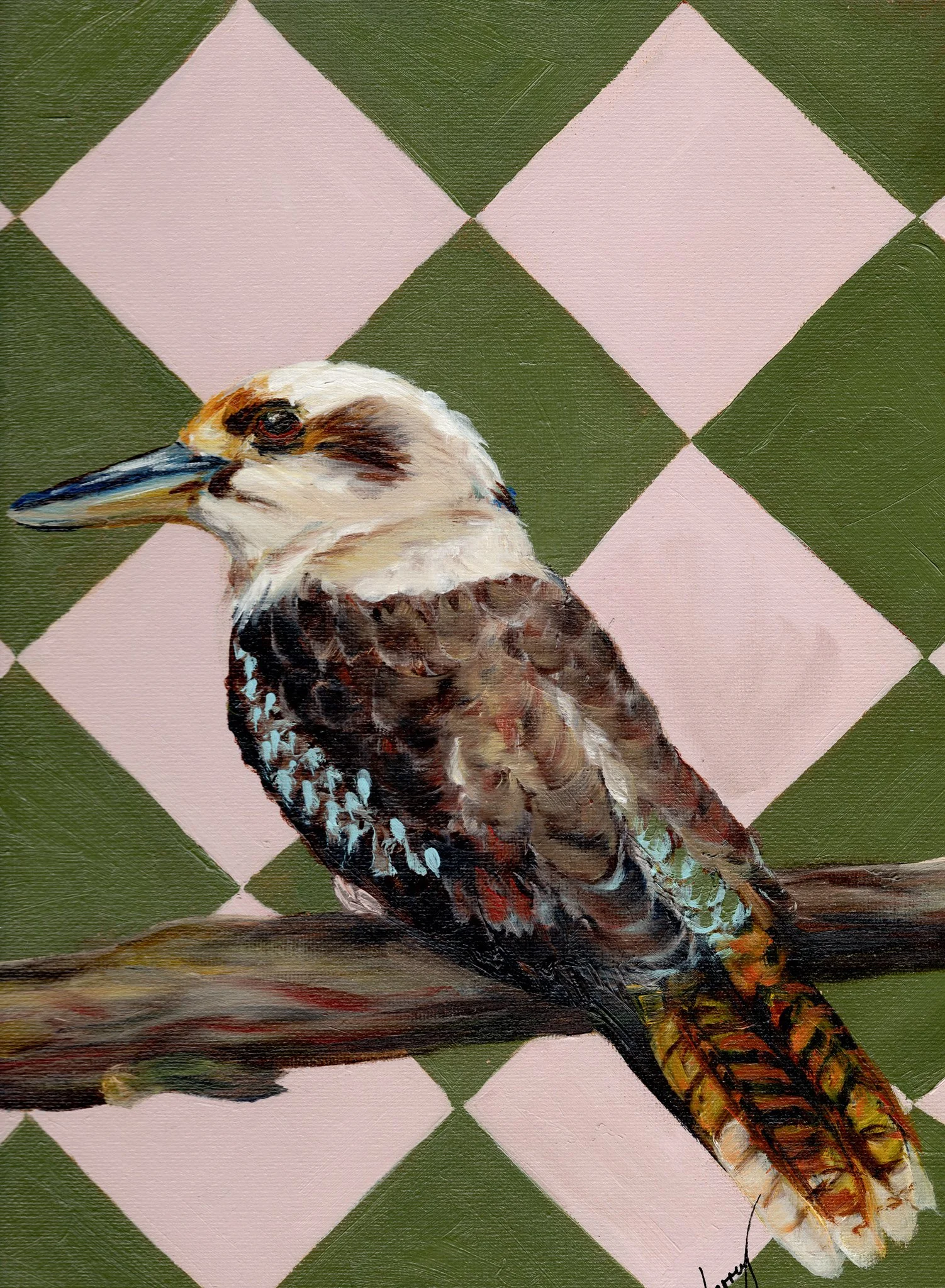 Flight Patterns_Kookaburra with diamonds.jpg