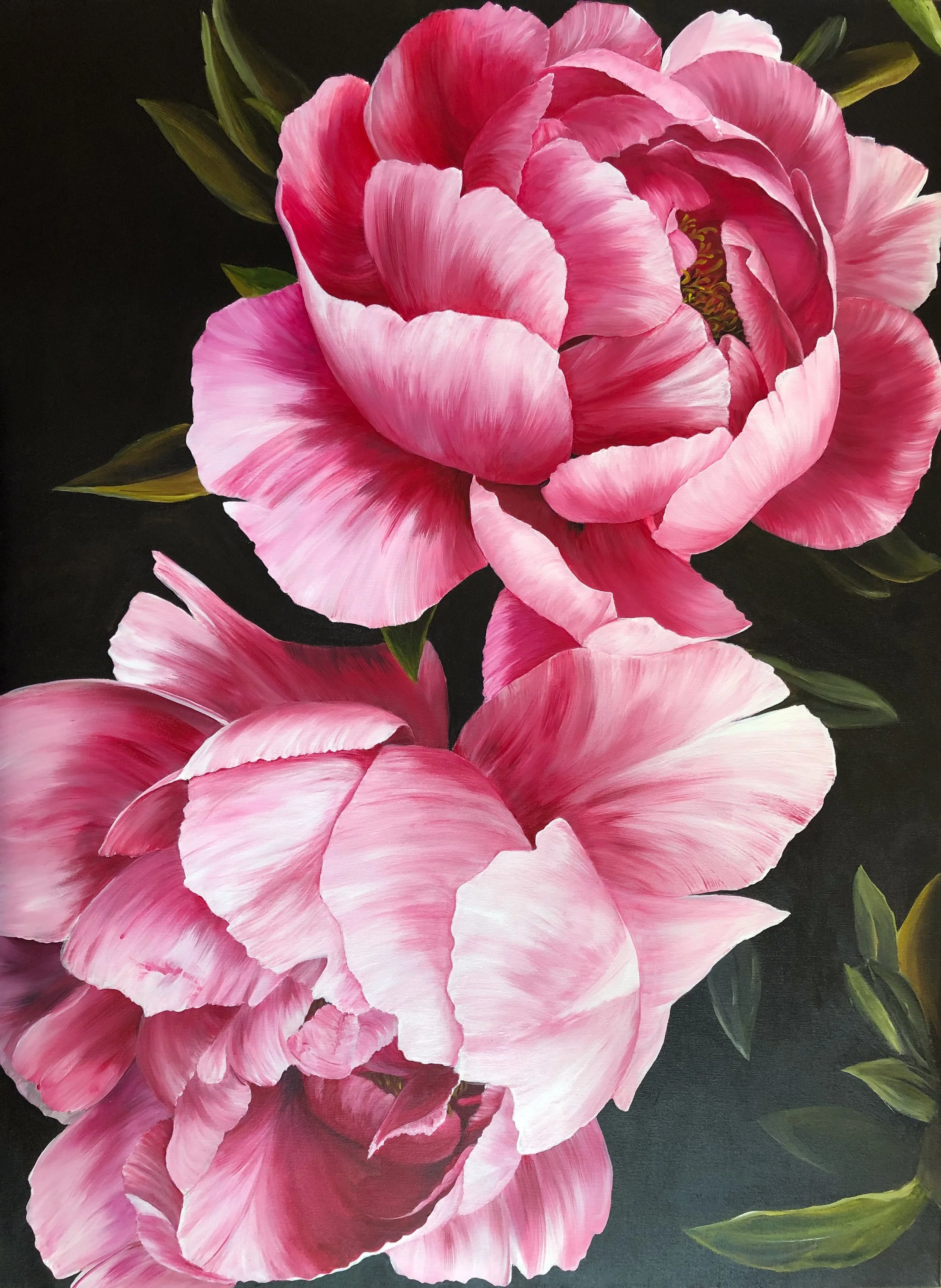 bold blooms