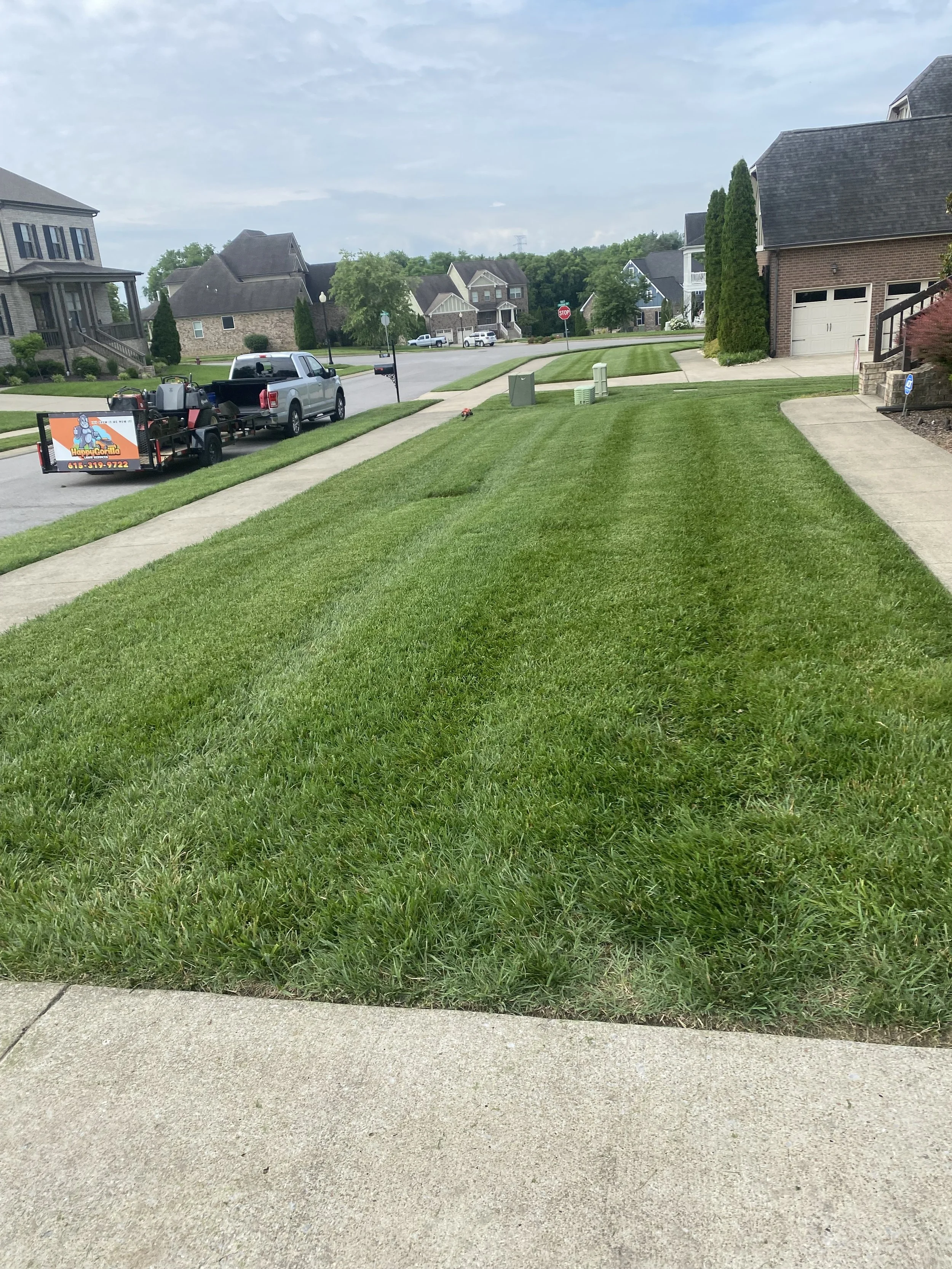 Front yard with freshly mowed green grass, sidewalk, and nearby houses in a suburban neighborhood.