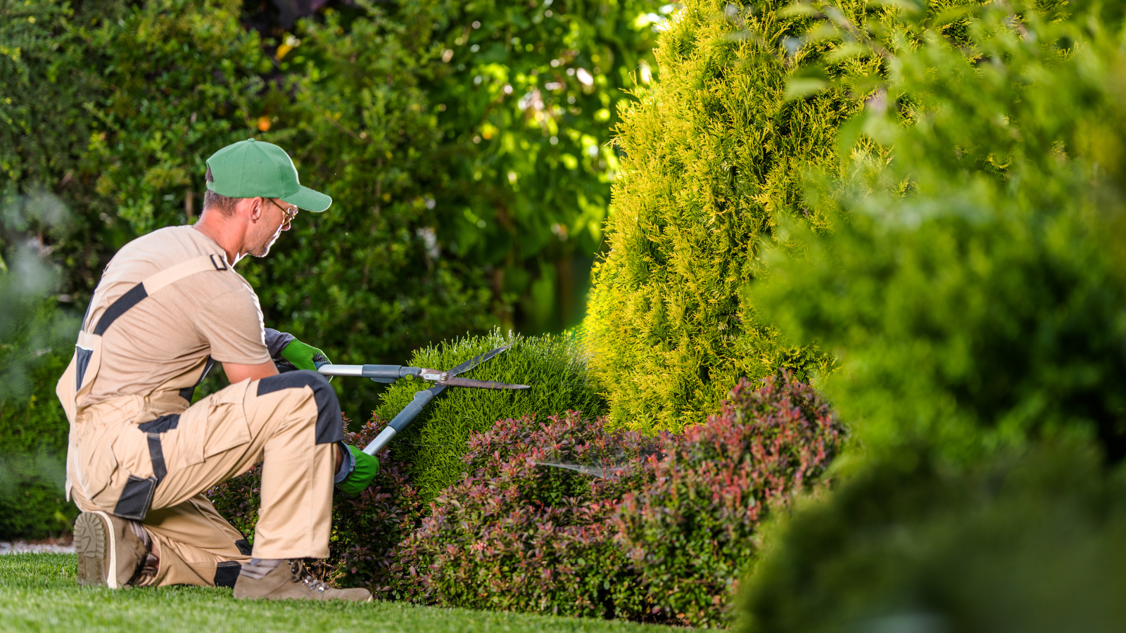 Commercial Lawn Care