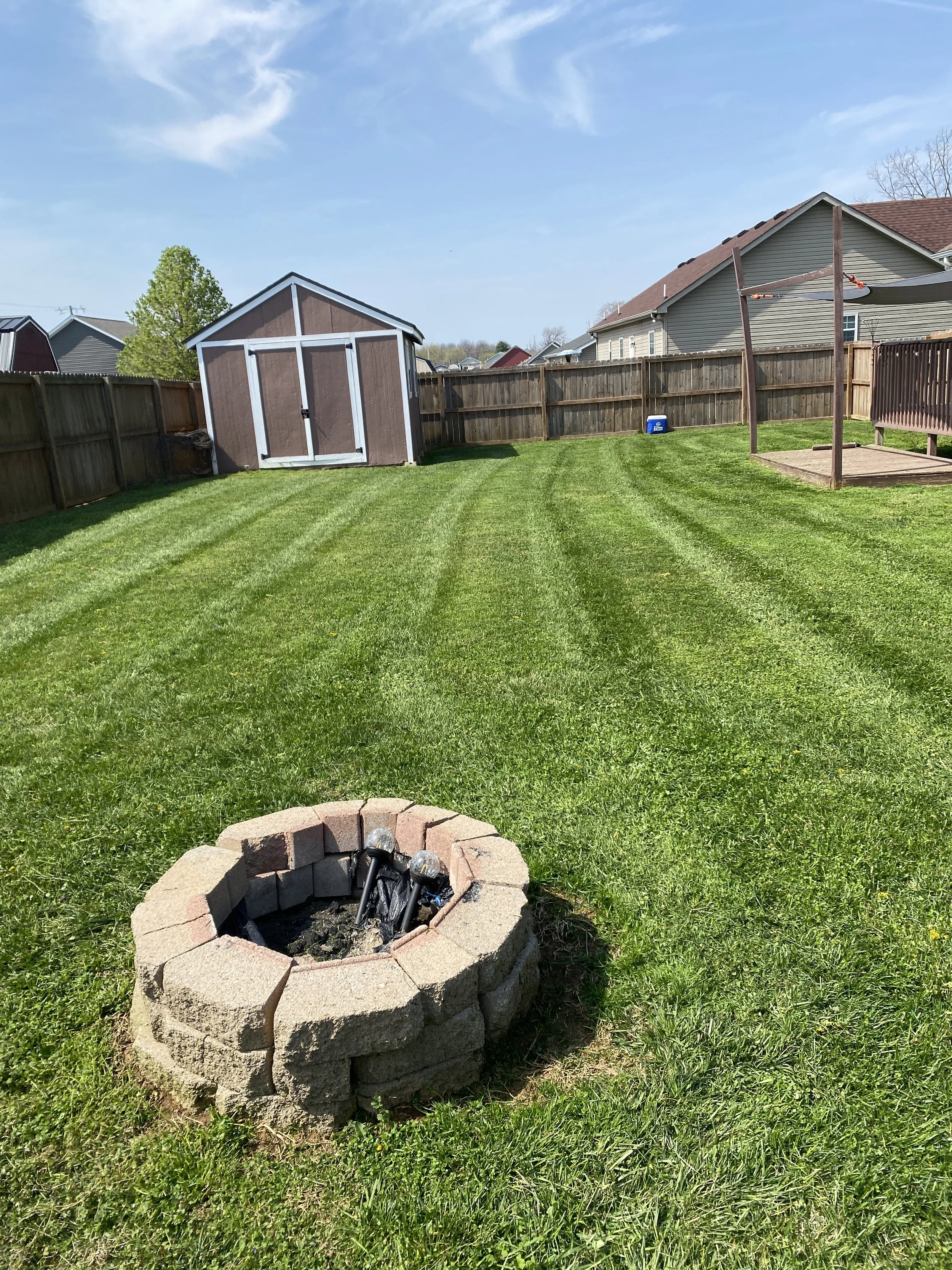 A backyard with freshly mowed green grass, a small brown and white shed, a clothesline, and neighboring houses under a blue sky.