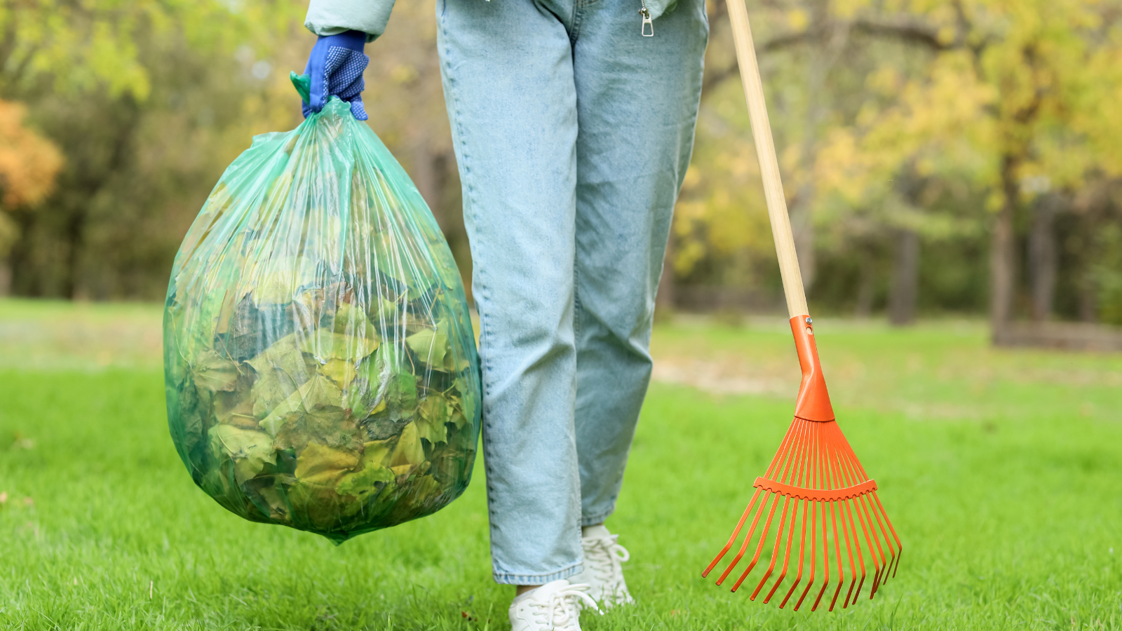 Bumper Repair & Replacement