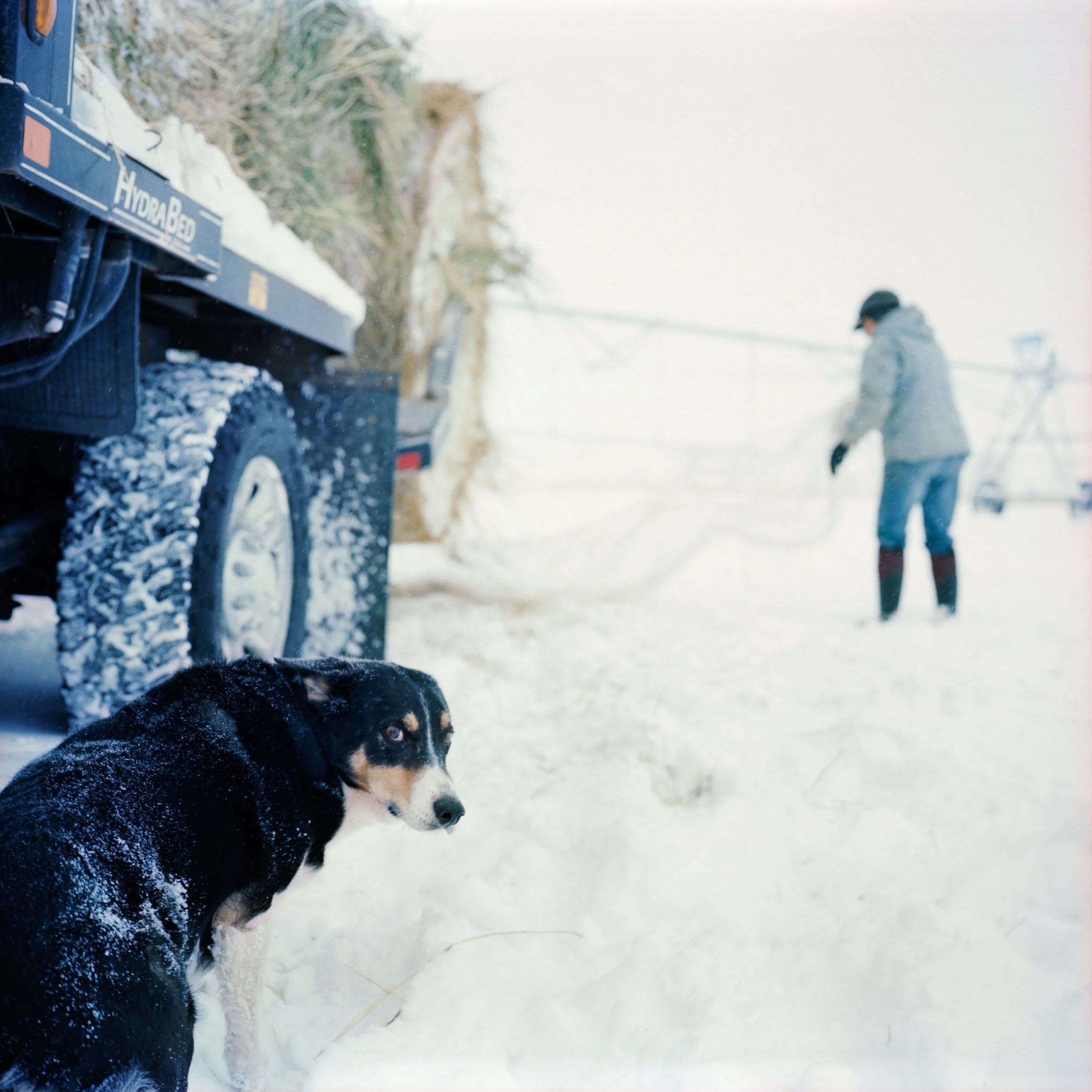 2023 Senior Capstone-7.jpg