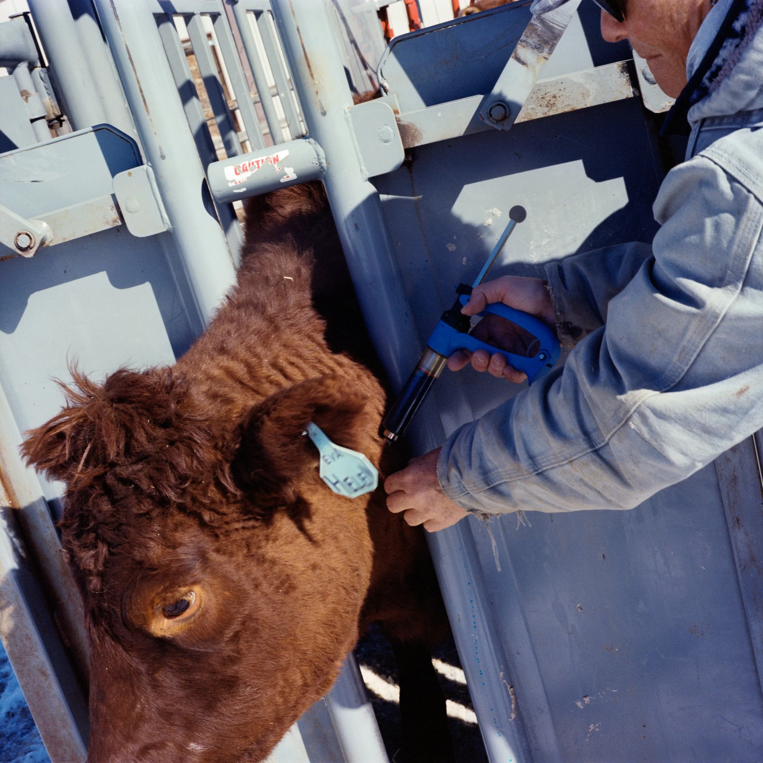 2023 Senior Capstone-11.jpg