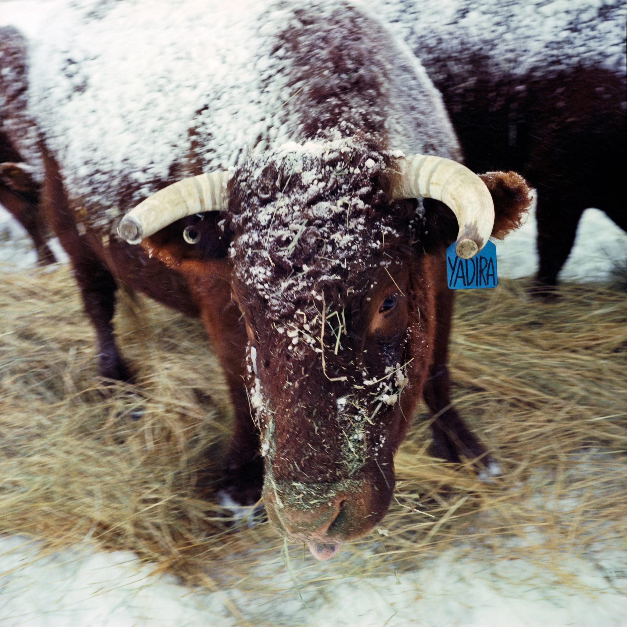 2023 Senior Capstone-8.jpg