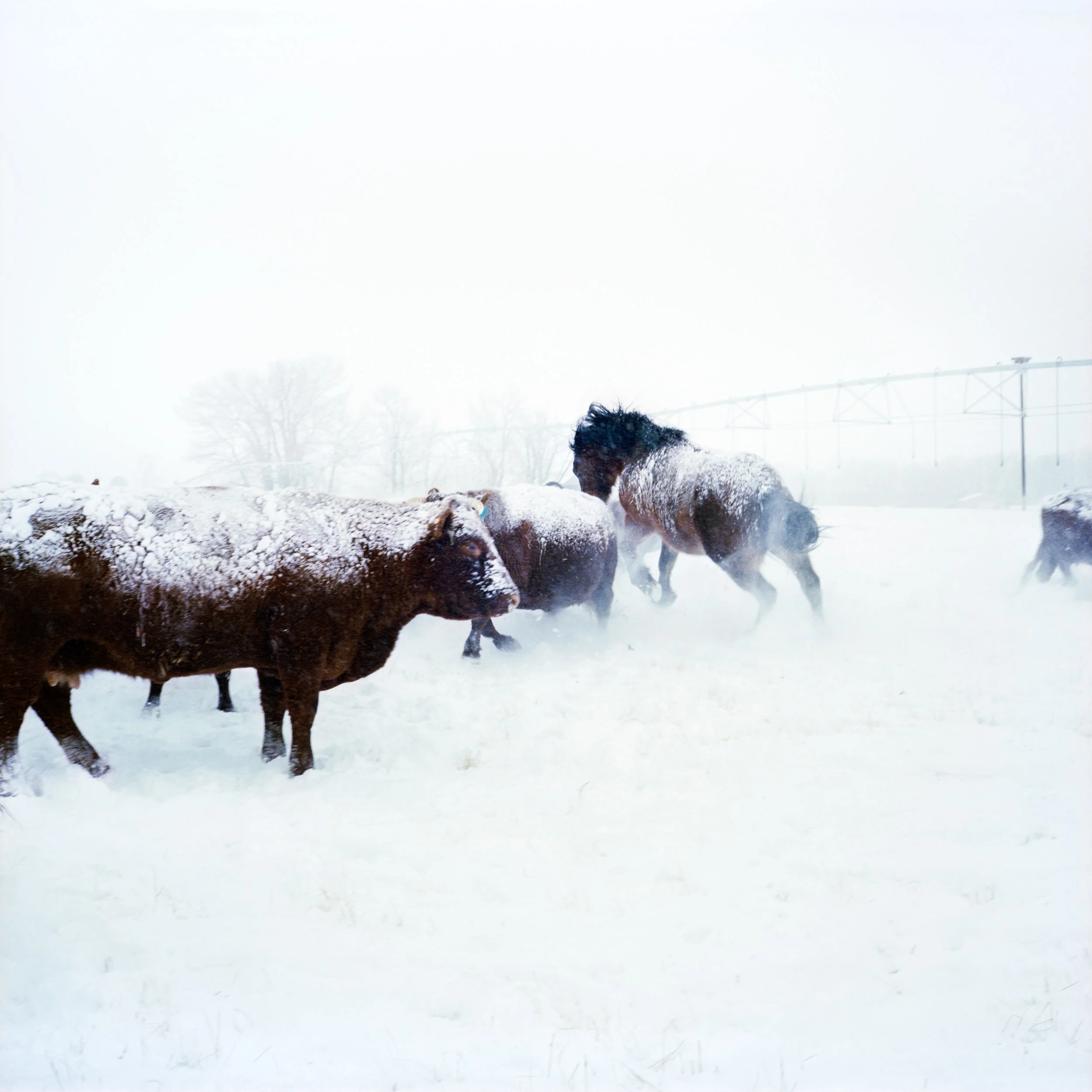 2023 Senior Capstone-6.jpg