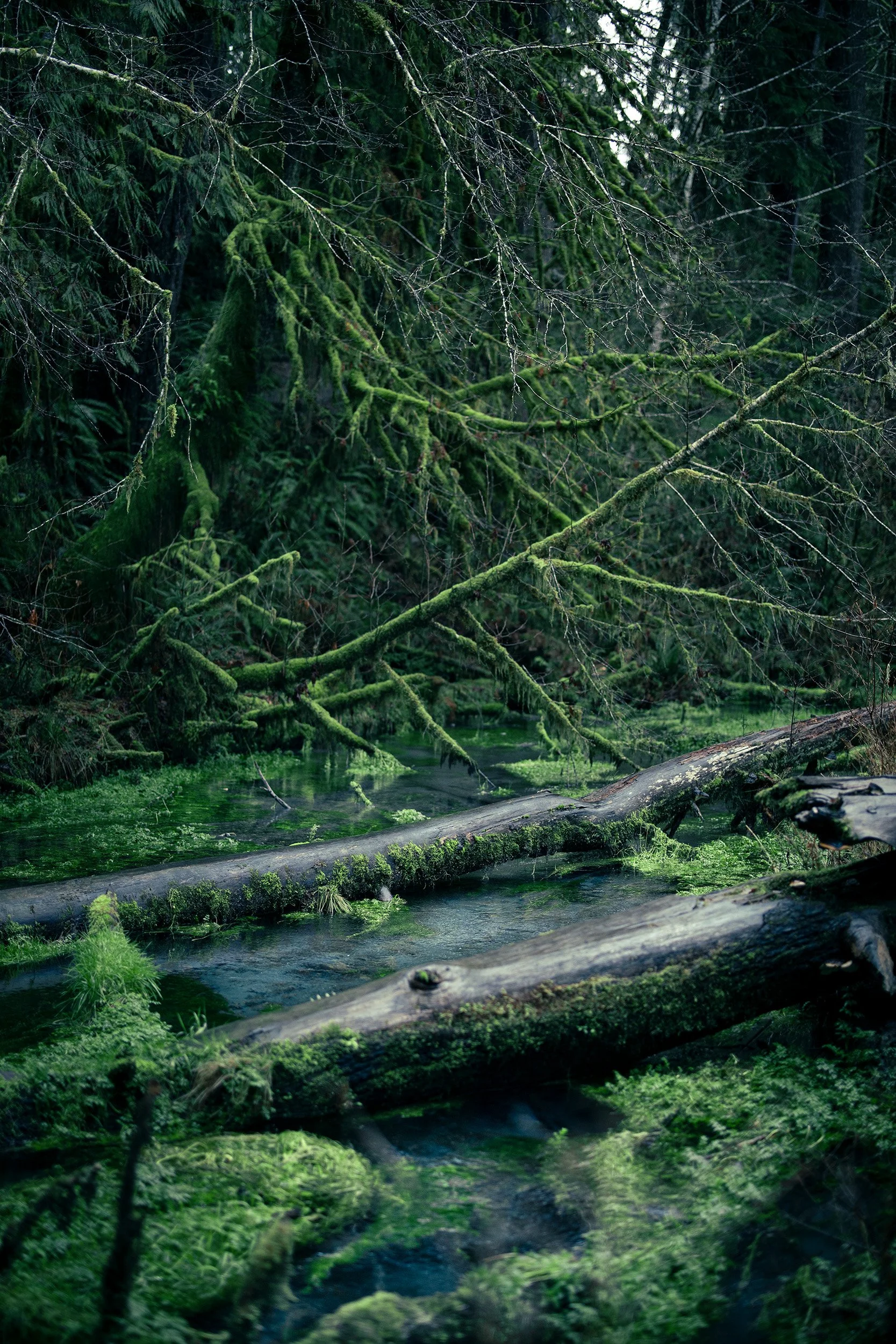 Diffracted Latitudes 16.jpg