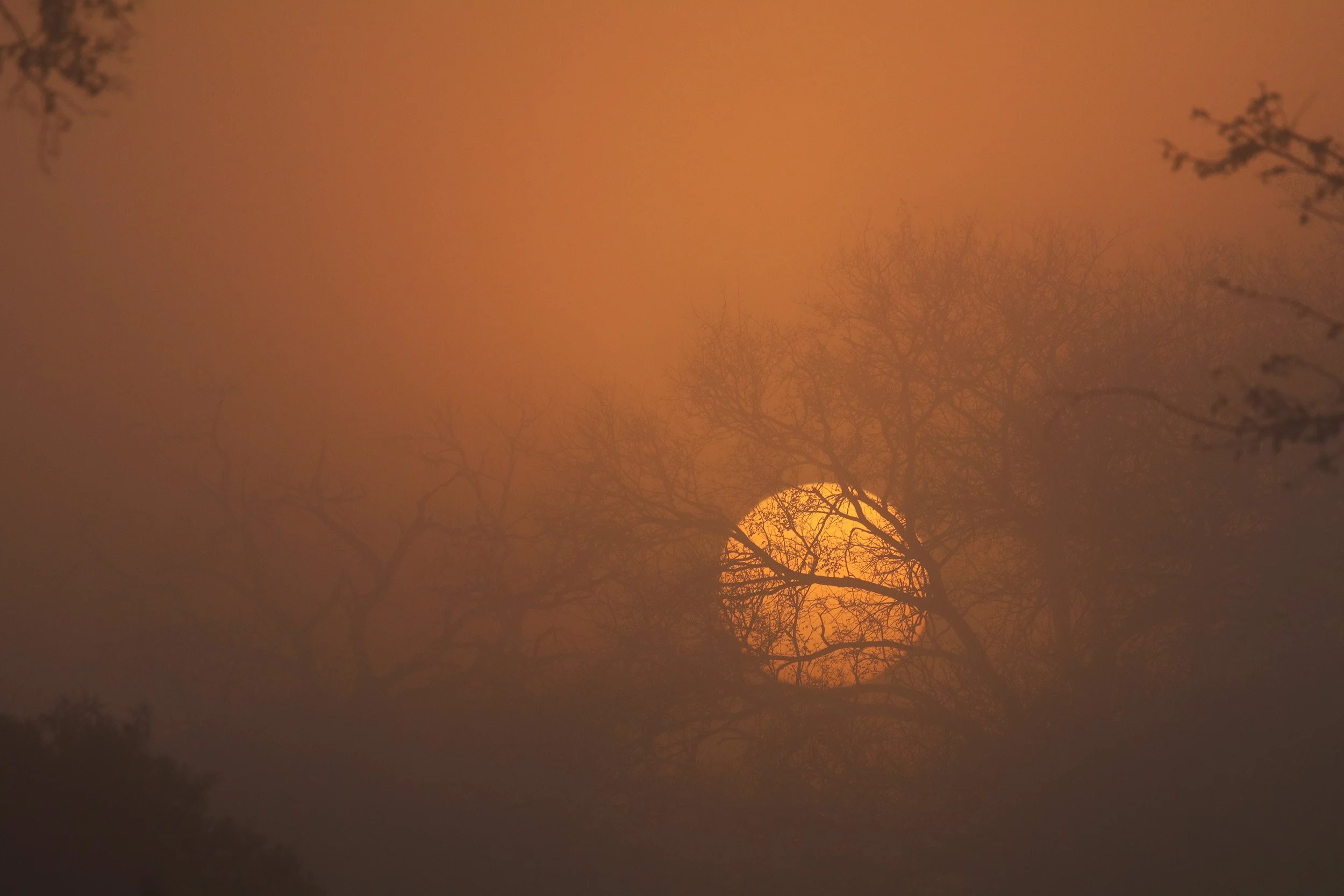 Diffracted Latitudes 20.jpg