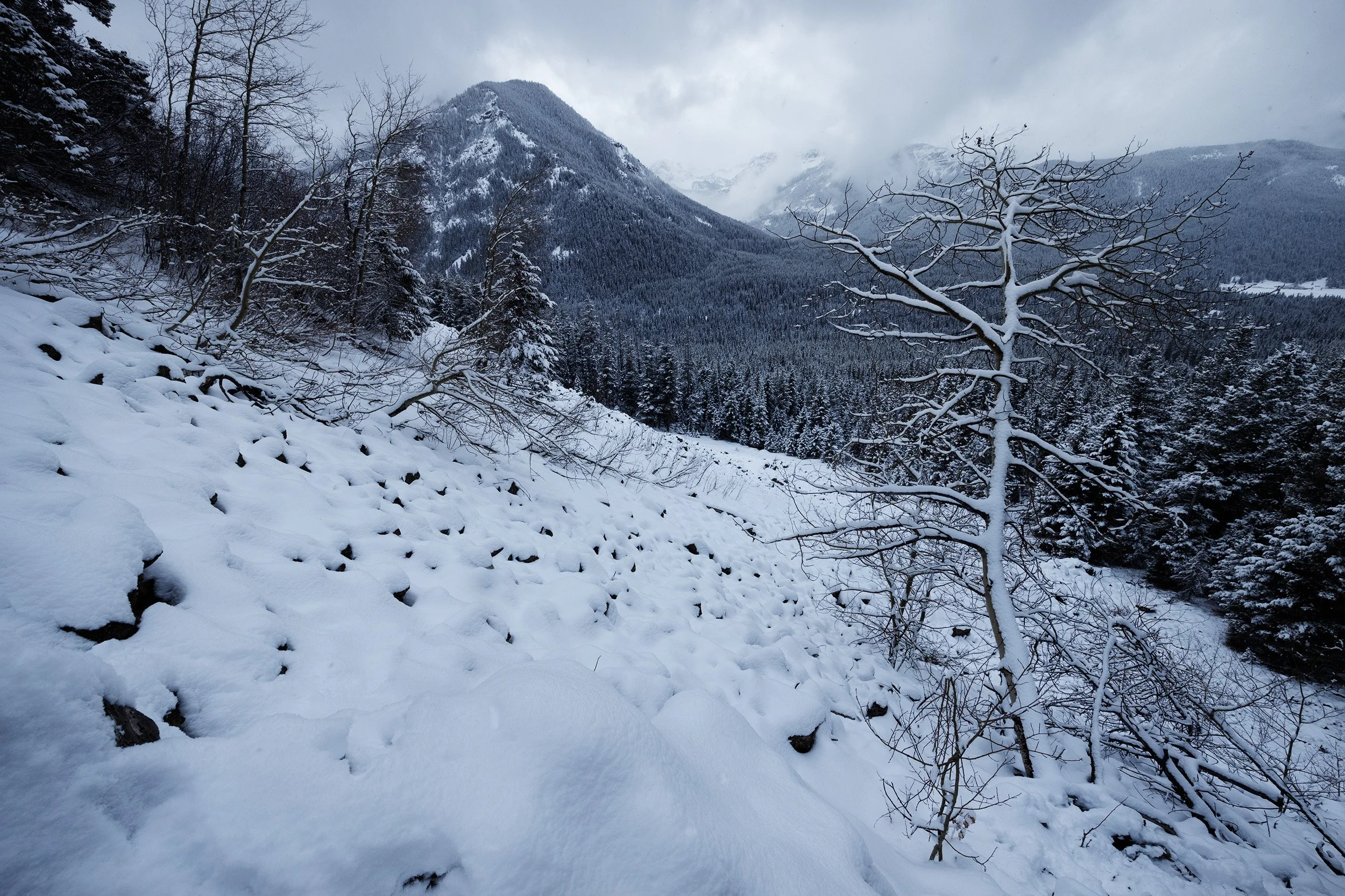 Diffracted Latitudes 10.jpg