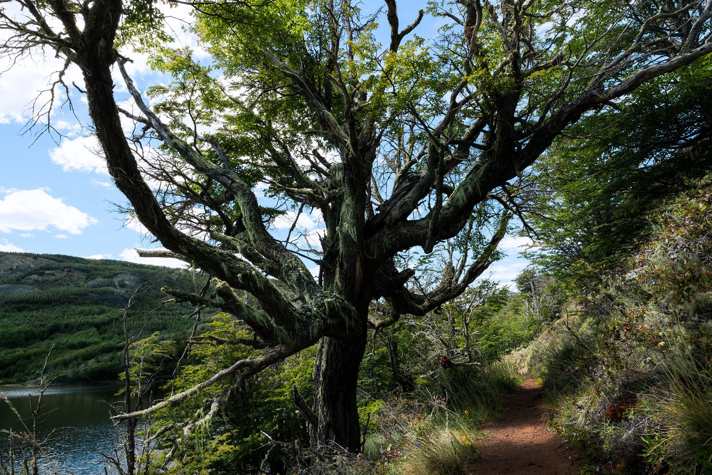 Diffracted Latitudes 5.jpg