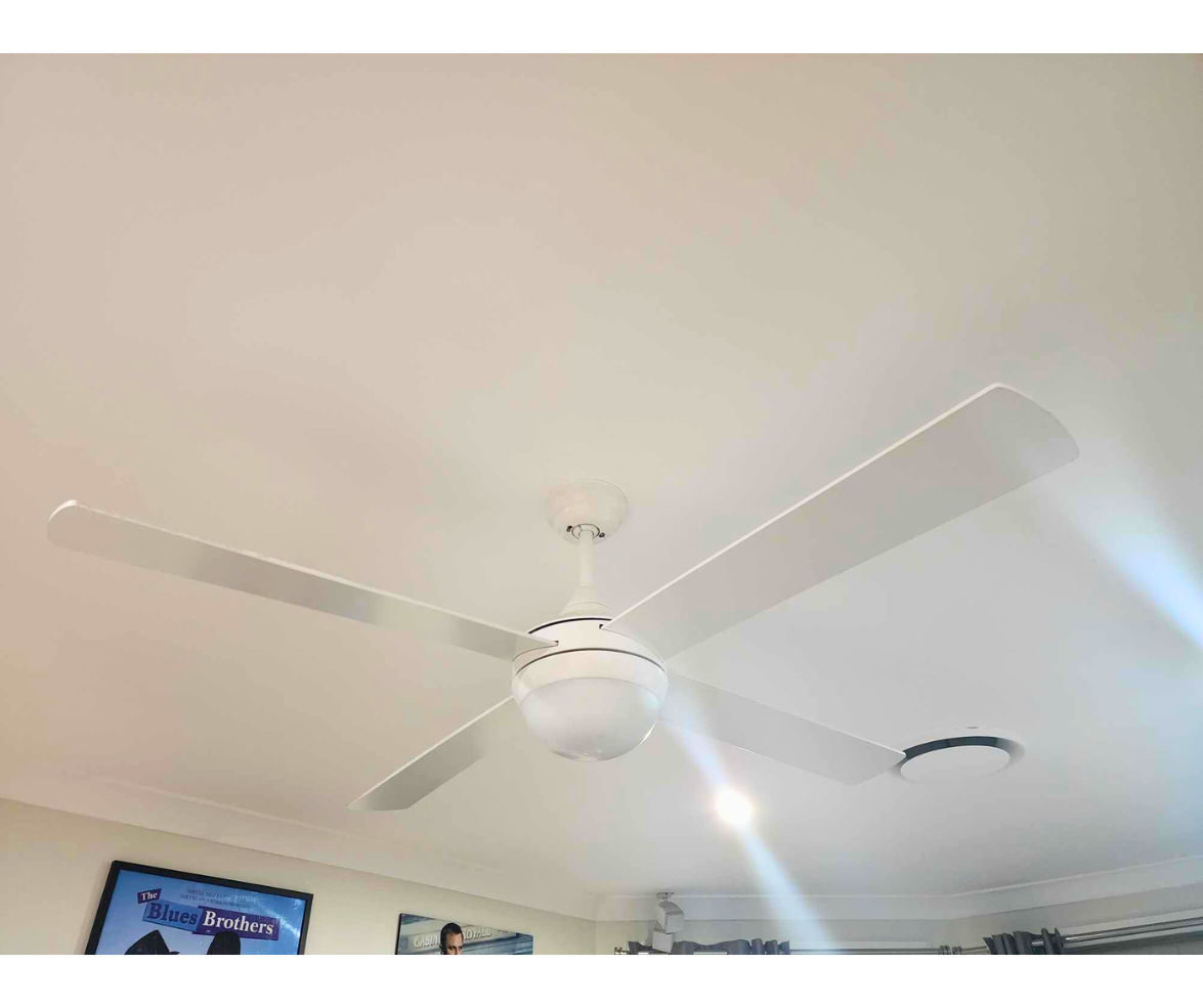 WEB_FAN_007.png