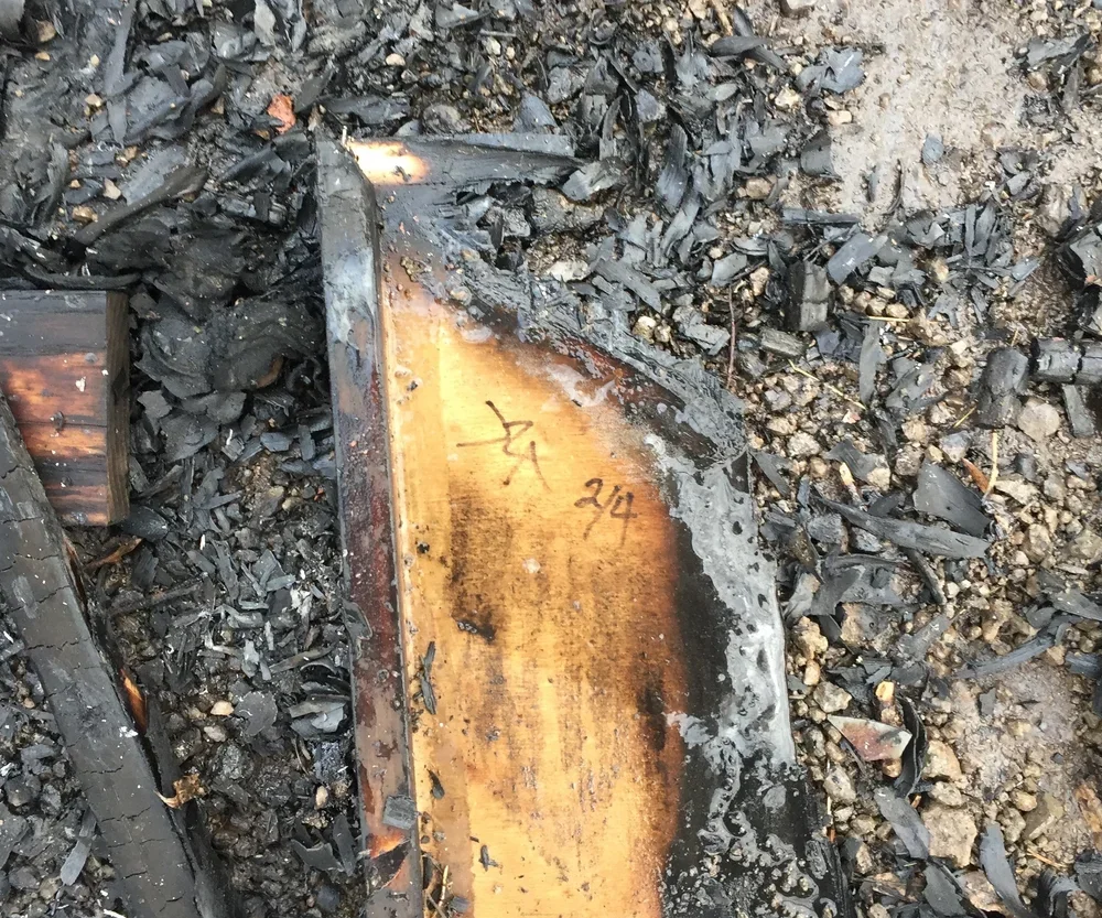 Windsor Burn BTS.webp