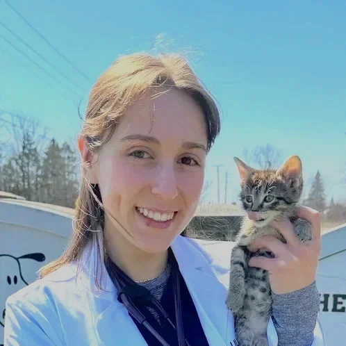 Dr. Molnar with a kitten
