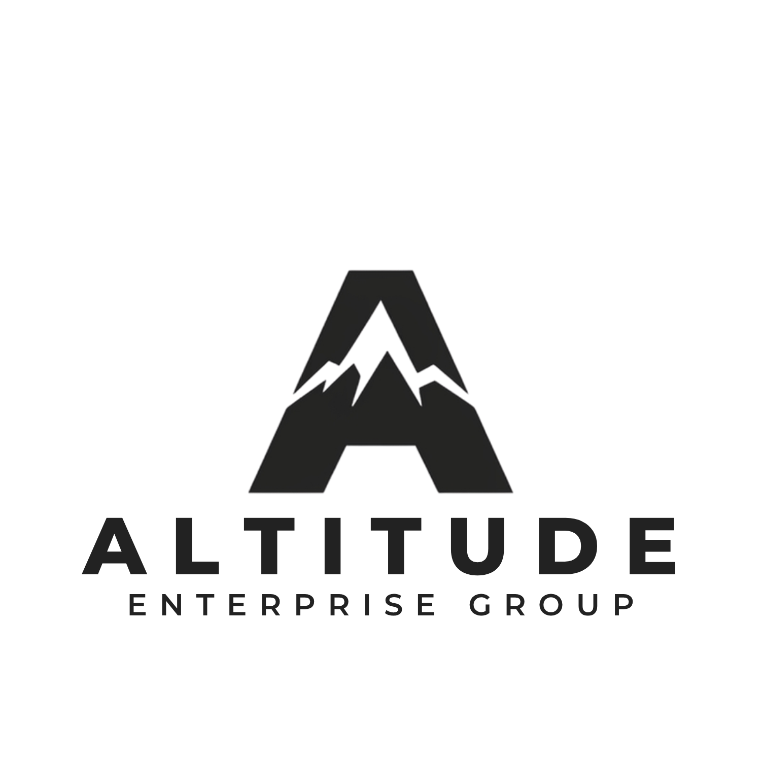 Altitude Enterprise Group