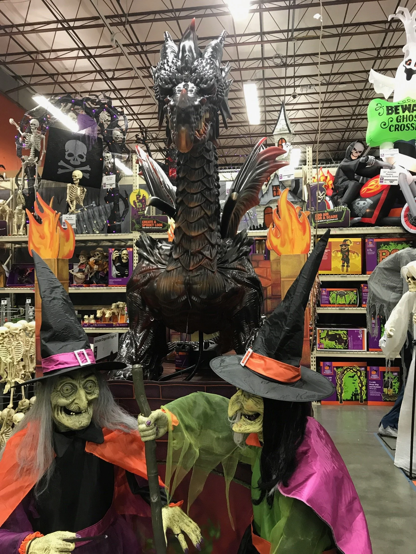 IMG_0244.jpeg