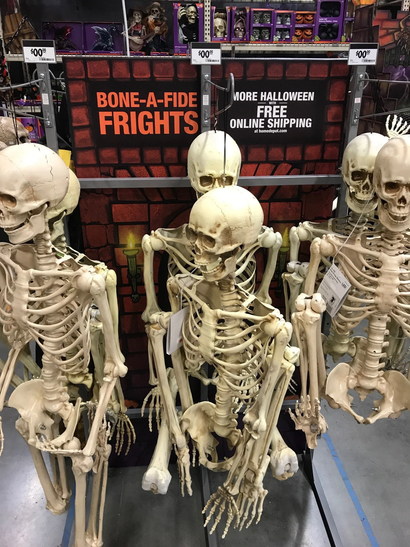 IMG_0239.jpeg