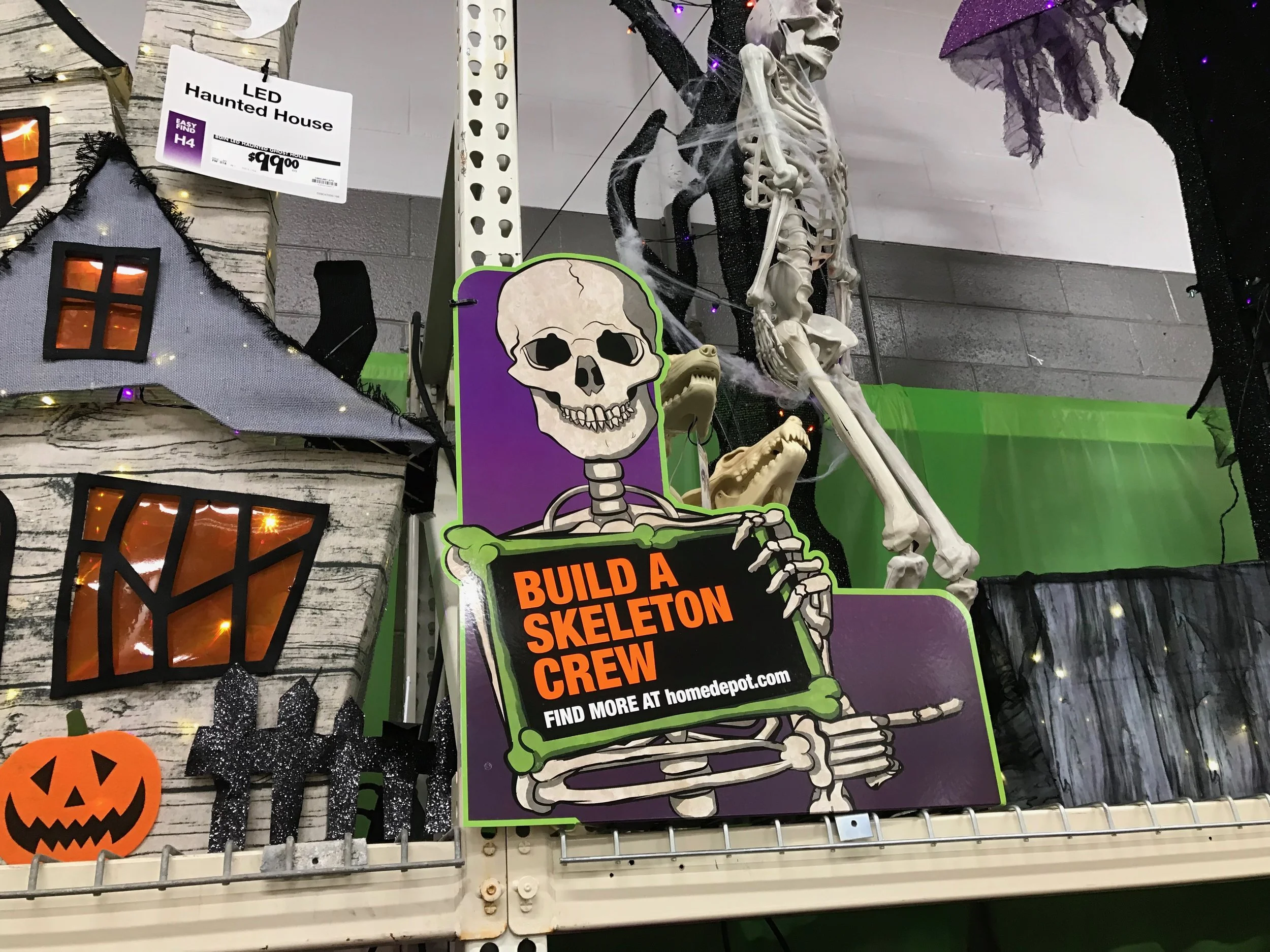 IMG_0295.jpeg