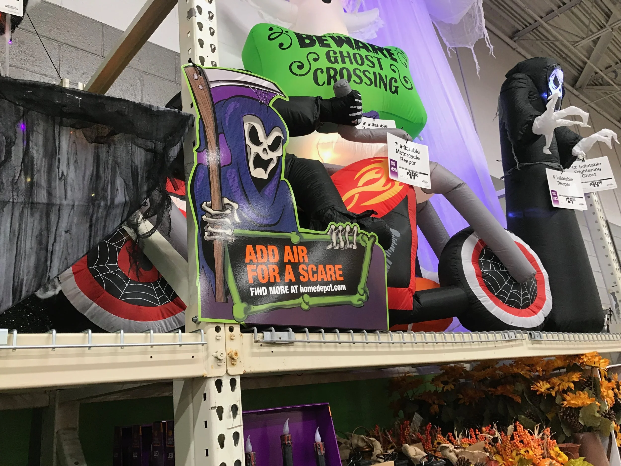 IMG_0294.jpeg