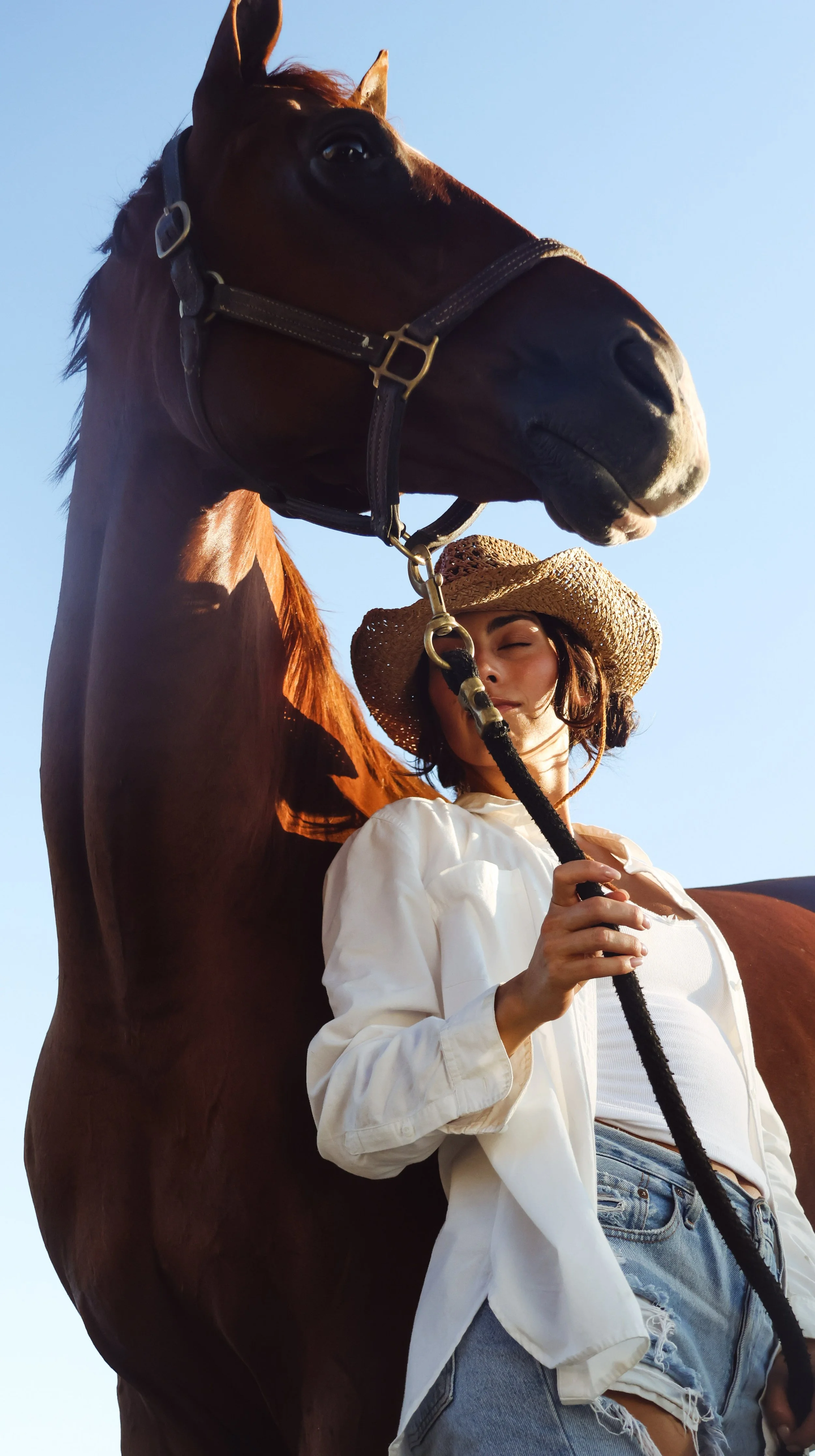 A woman wearing a wide-brimmed straw hat and a white button-up shirt, standing next to a large brown horse with a black halter, against a clear blue sky.