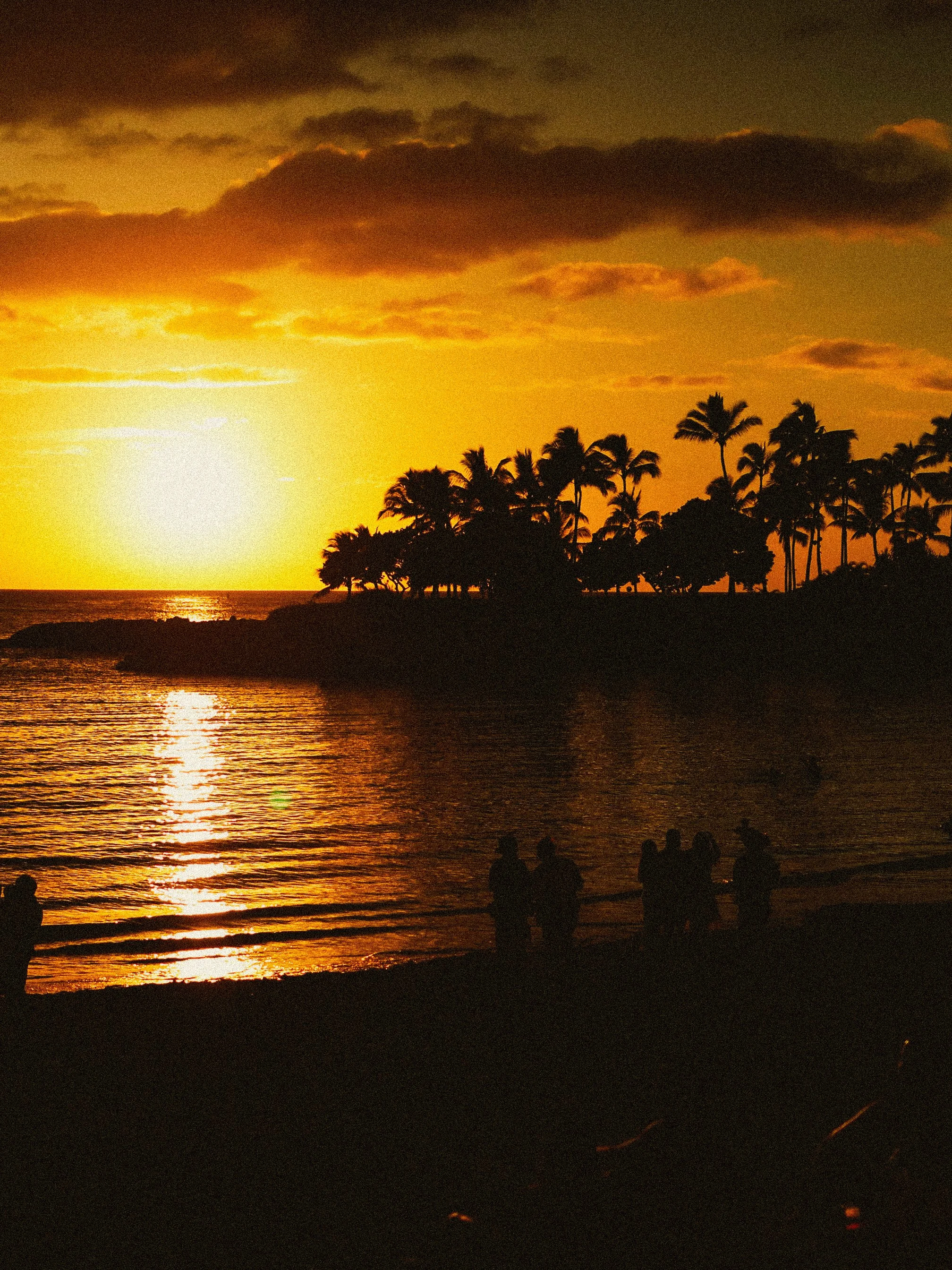 Silhouettes of people on a beach at sunset, with palm trees on a small island and the sun near the horizon, casting a reflection on the water.