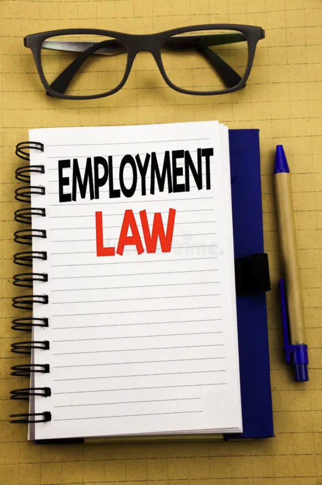 Workplace Investigations and Internal Governance