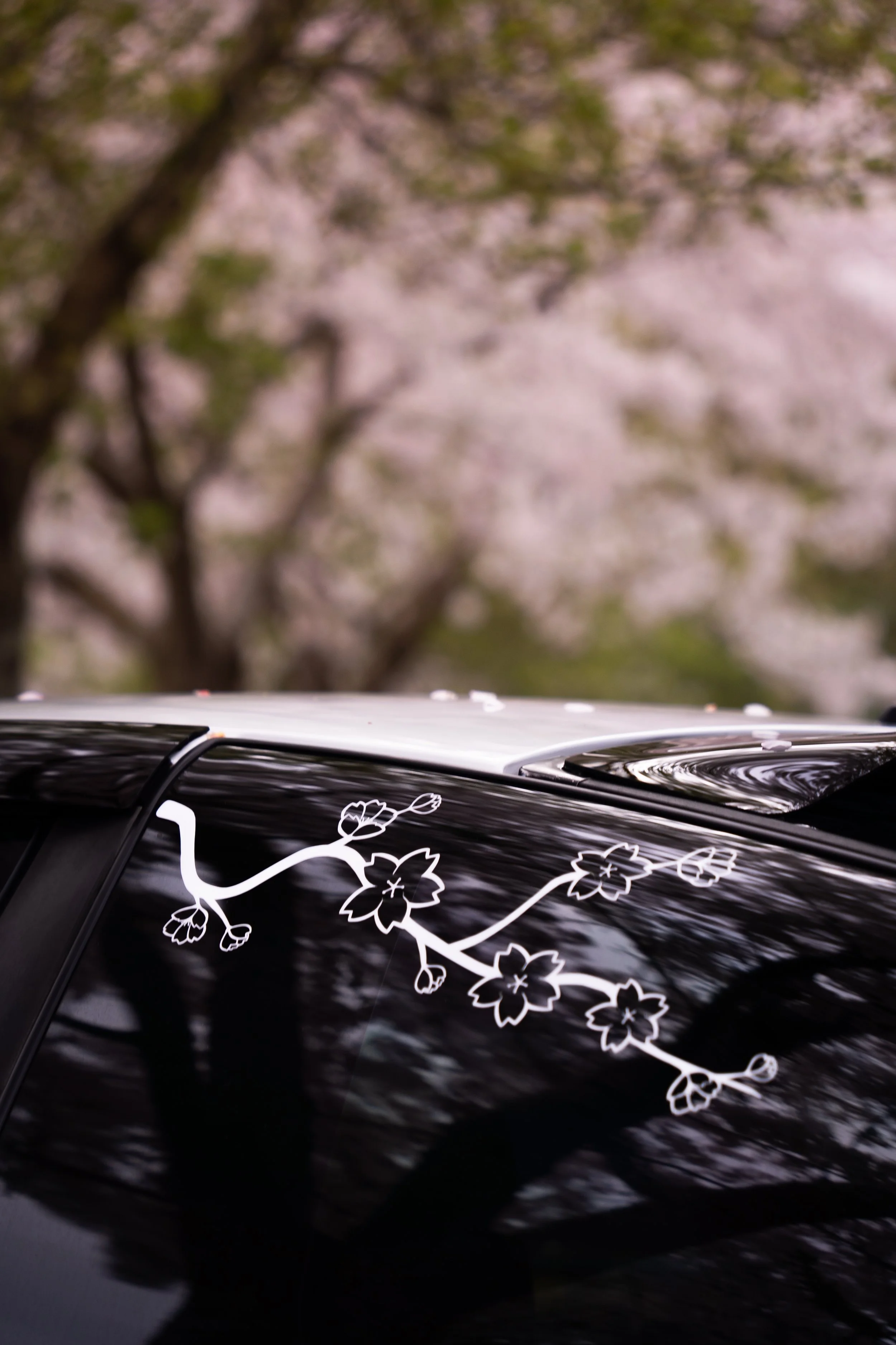 Close-up of a black car with a white floral decal on the side, with blurred trees and cherry blossoms in the background.
