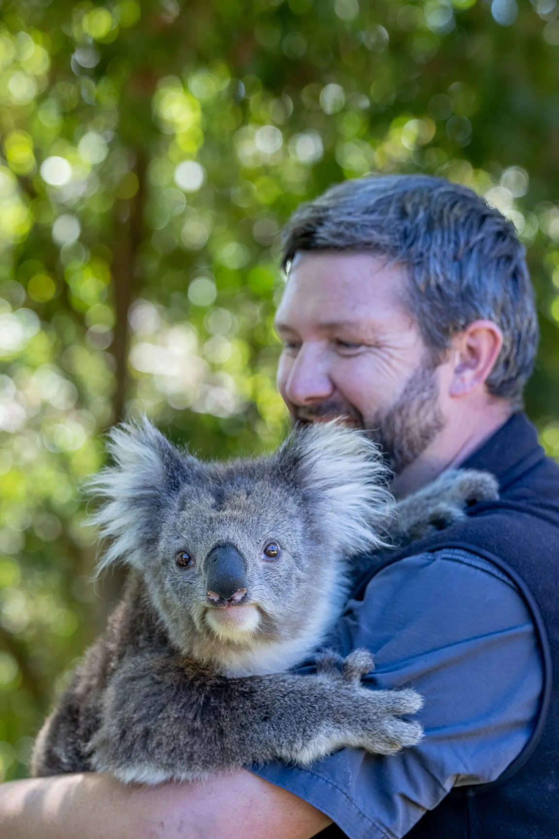 Brett & koala.jpg