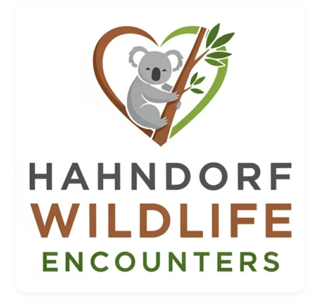 Hahndorf Wildlife Encounters