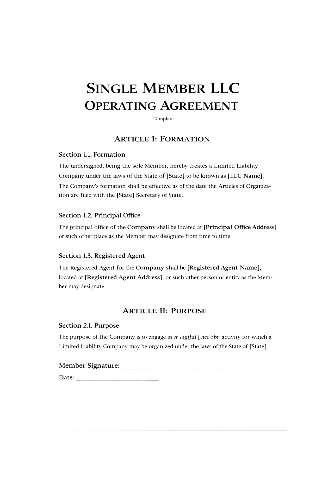 Single-Member LLC Operating Agreement