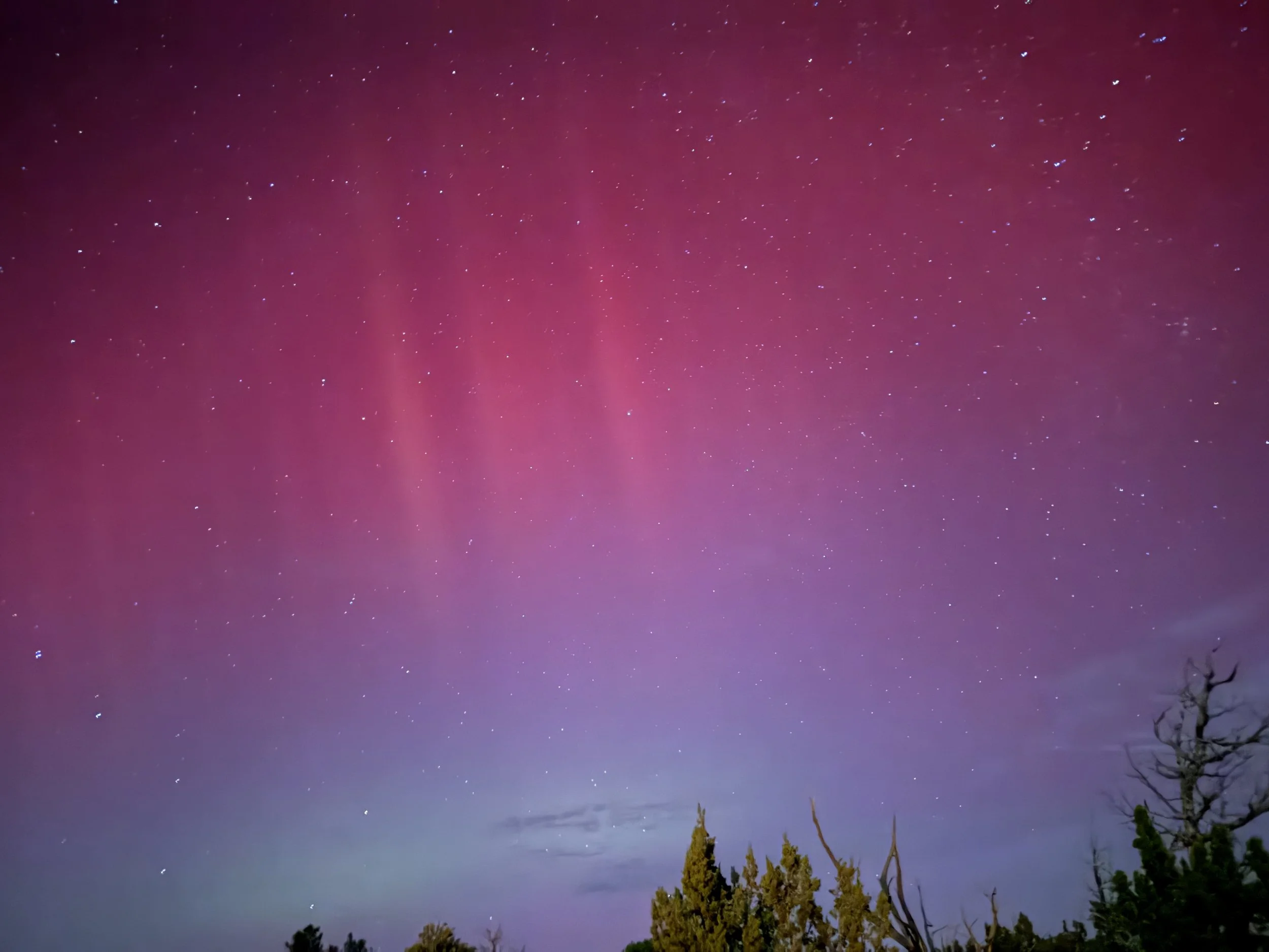 The Auroras Were Incredible!