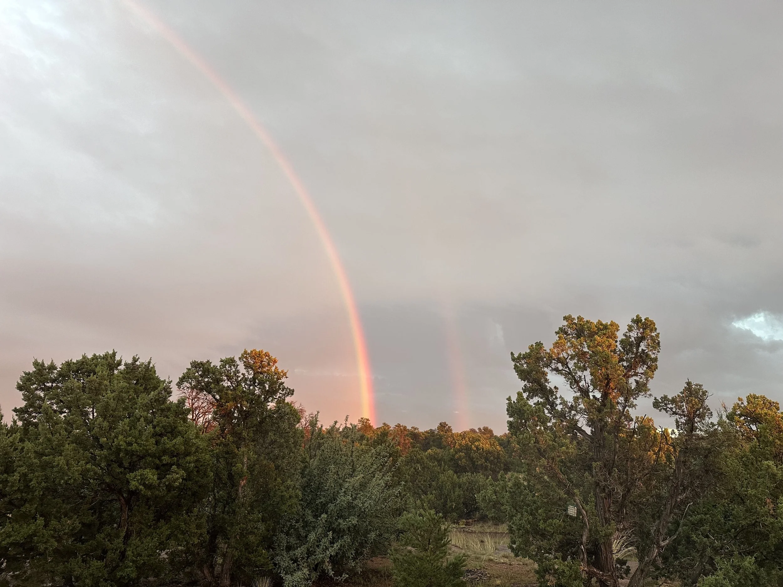 The Monsoon Has Arrived