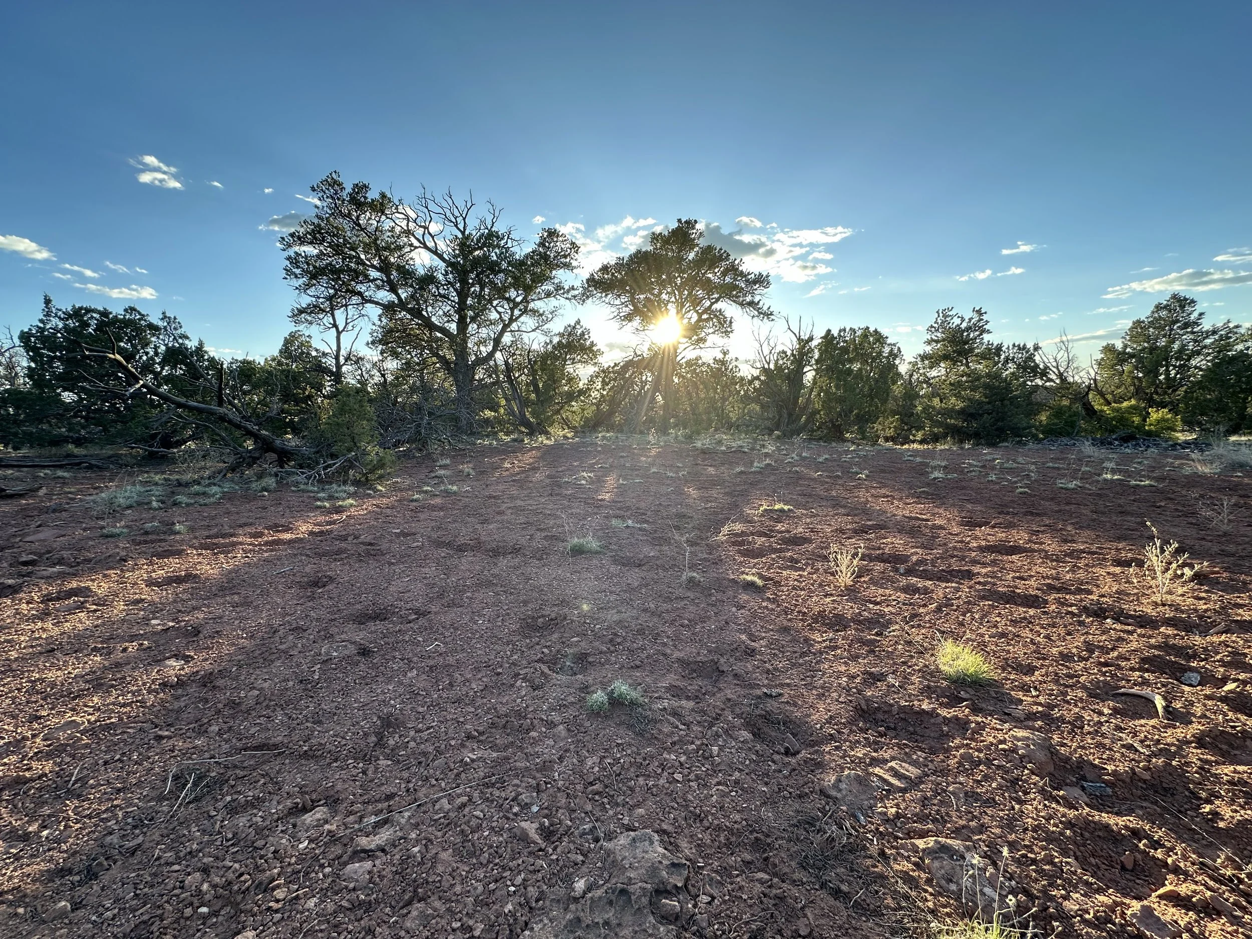 Sitting Back, Enjoying An Evening Hike