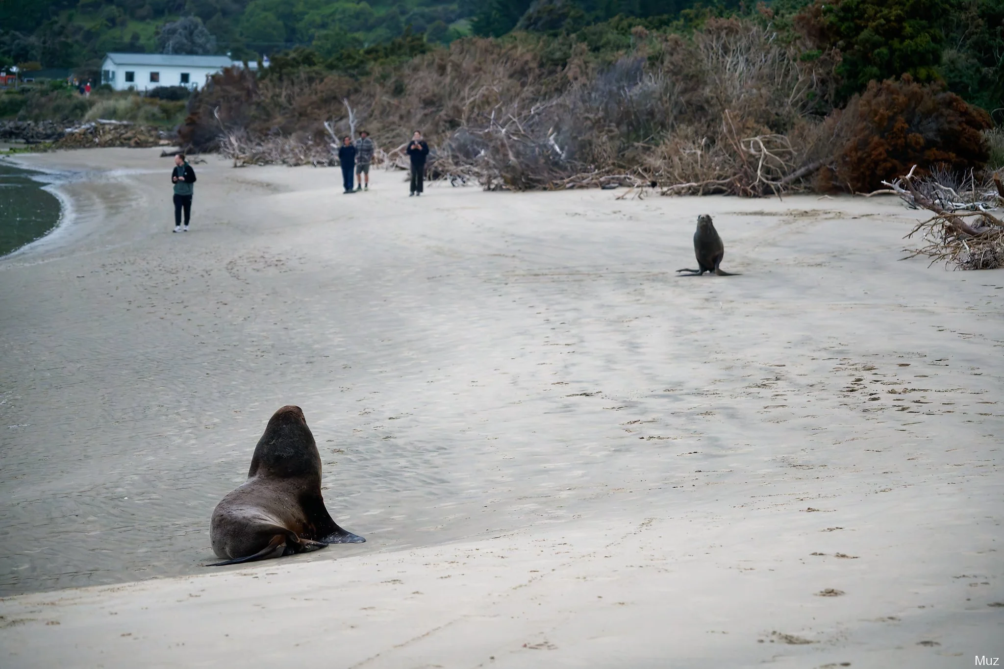 Faceoff, Surat Bay (127mm, f/6.3, 1/160s, ISO10000)