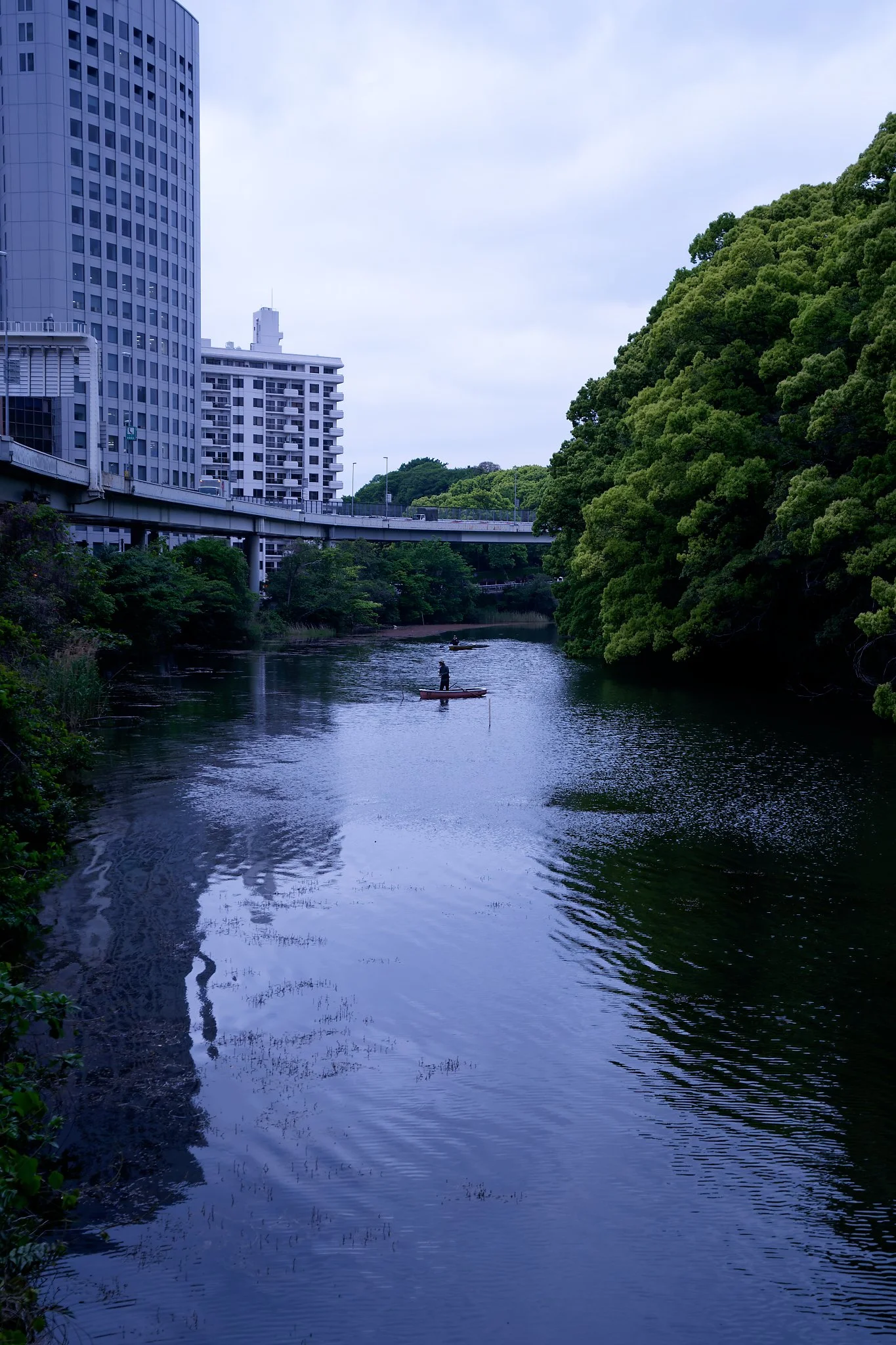 DSC02203_DxO.jpg