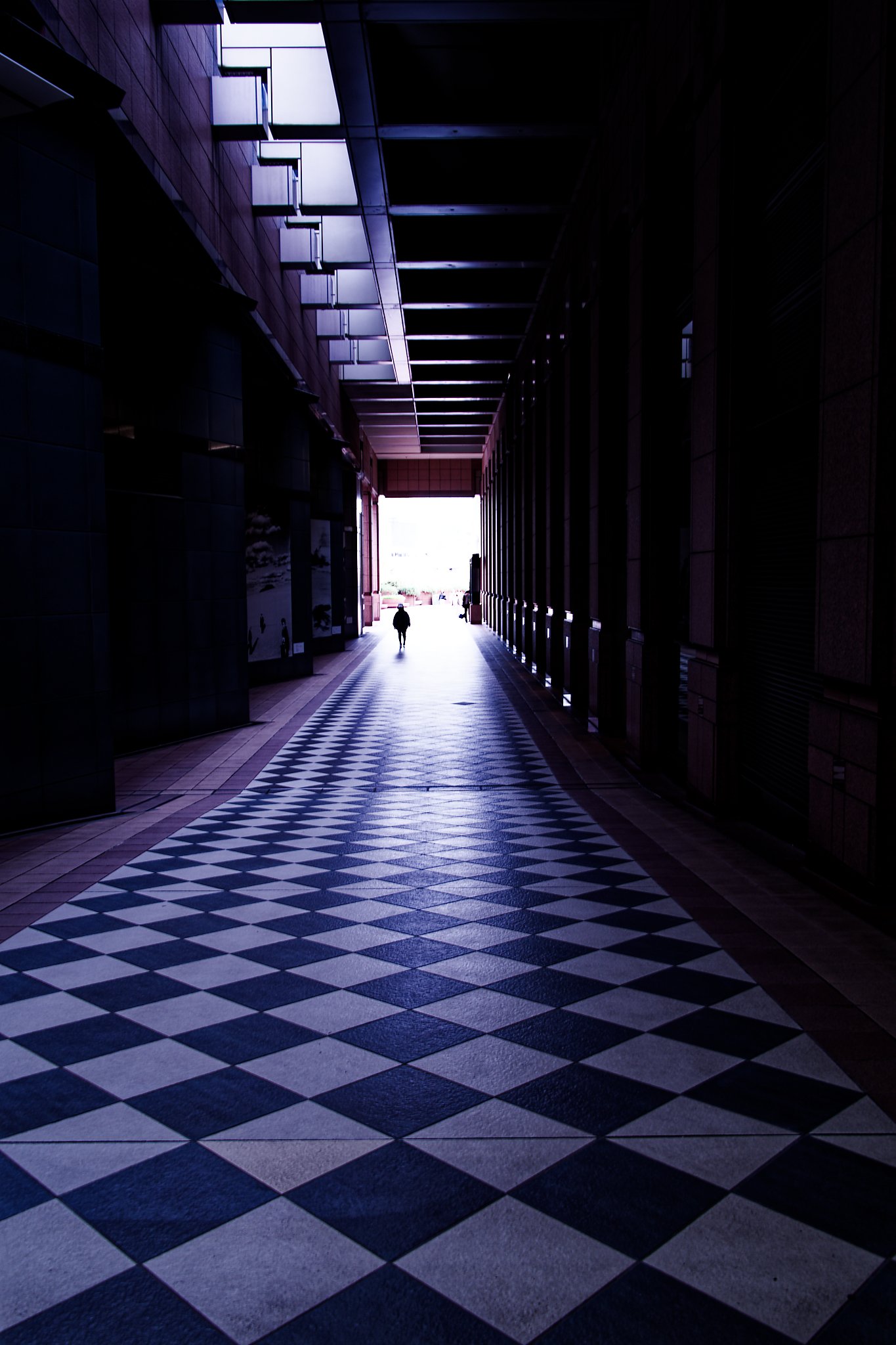 DSC02317_DxO.jpg