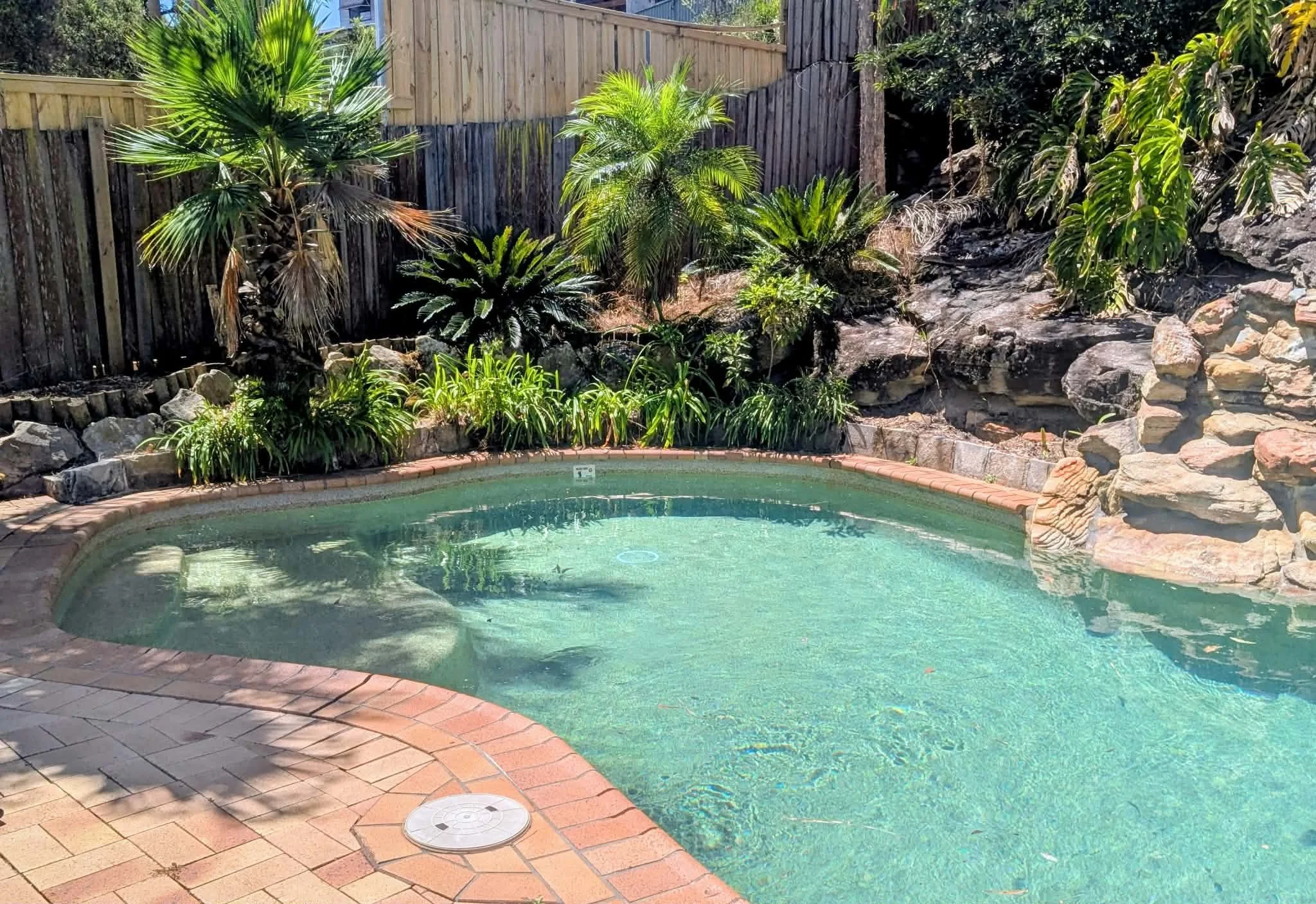 A backyard pool area with a curved pool, surrounded by brick paving and lush tropical plants, including palm trees and other greenery, with a wooden fence in the background.