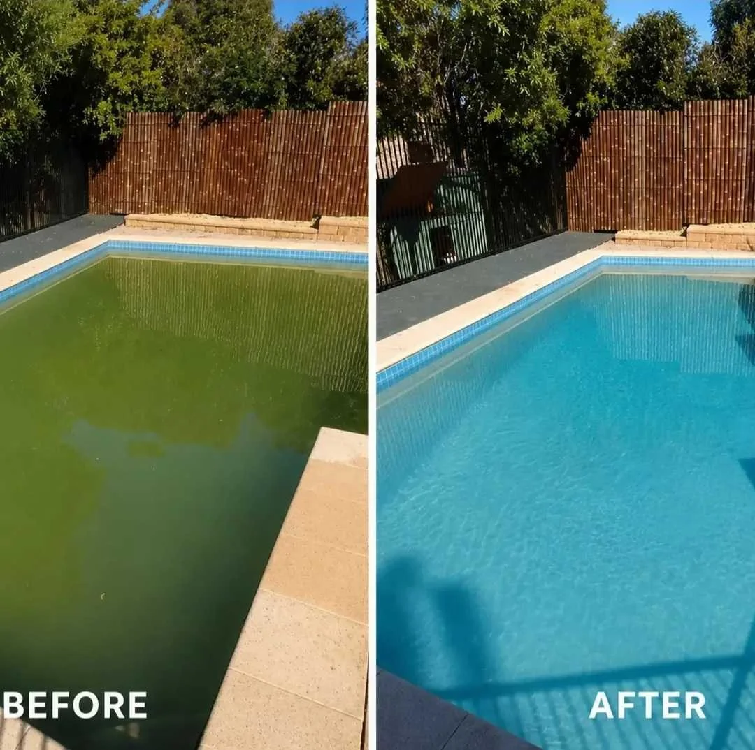 Green Pool Recovery
