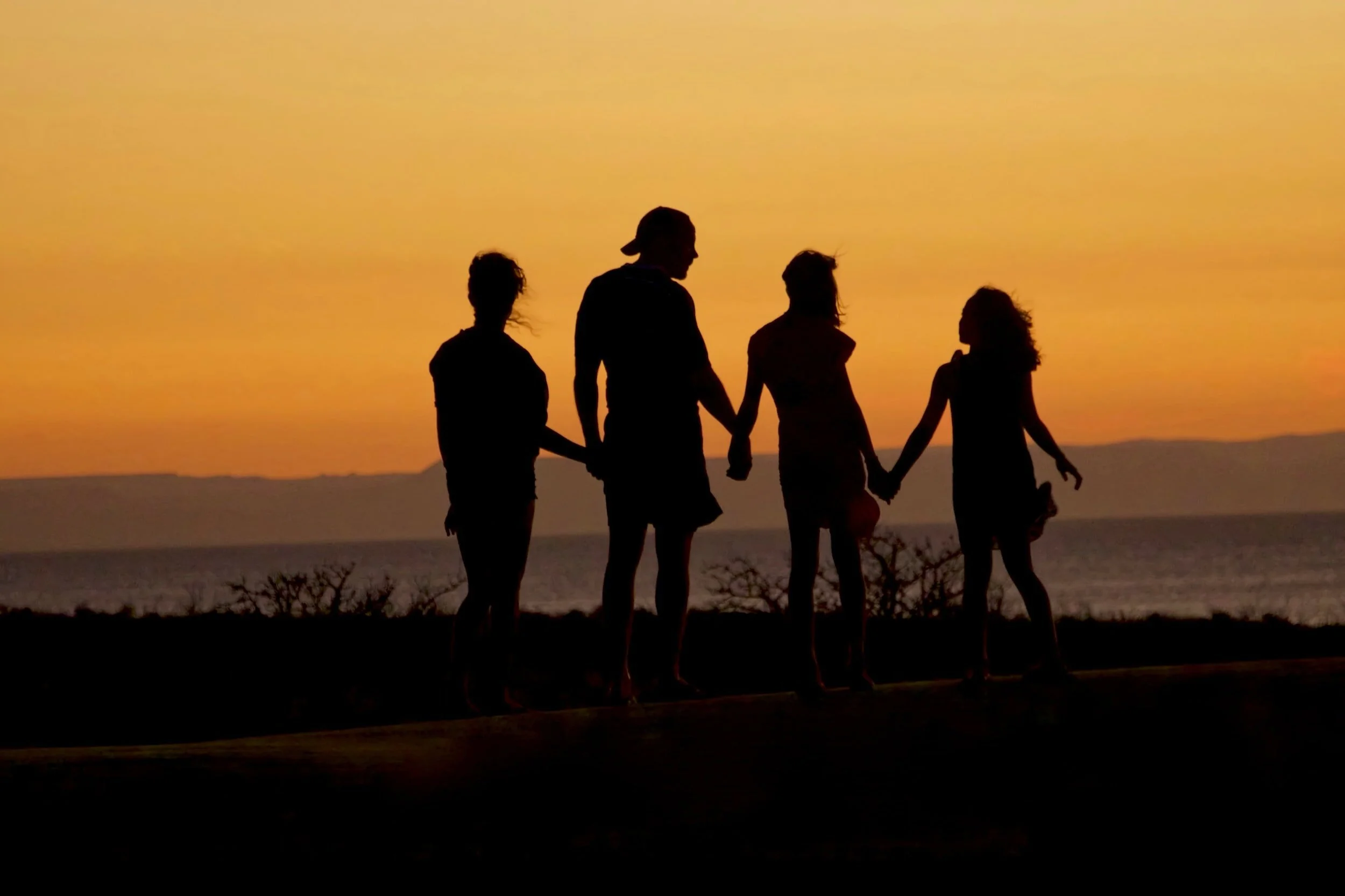 Internal Family Systems Therapy - Is this the right treatment for you?