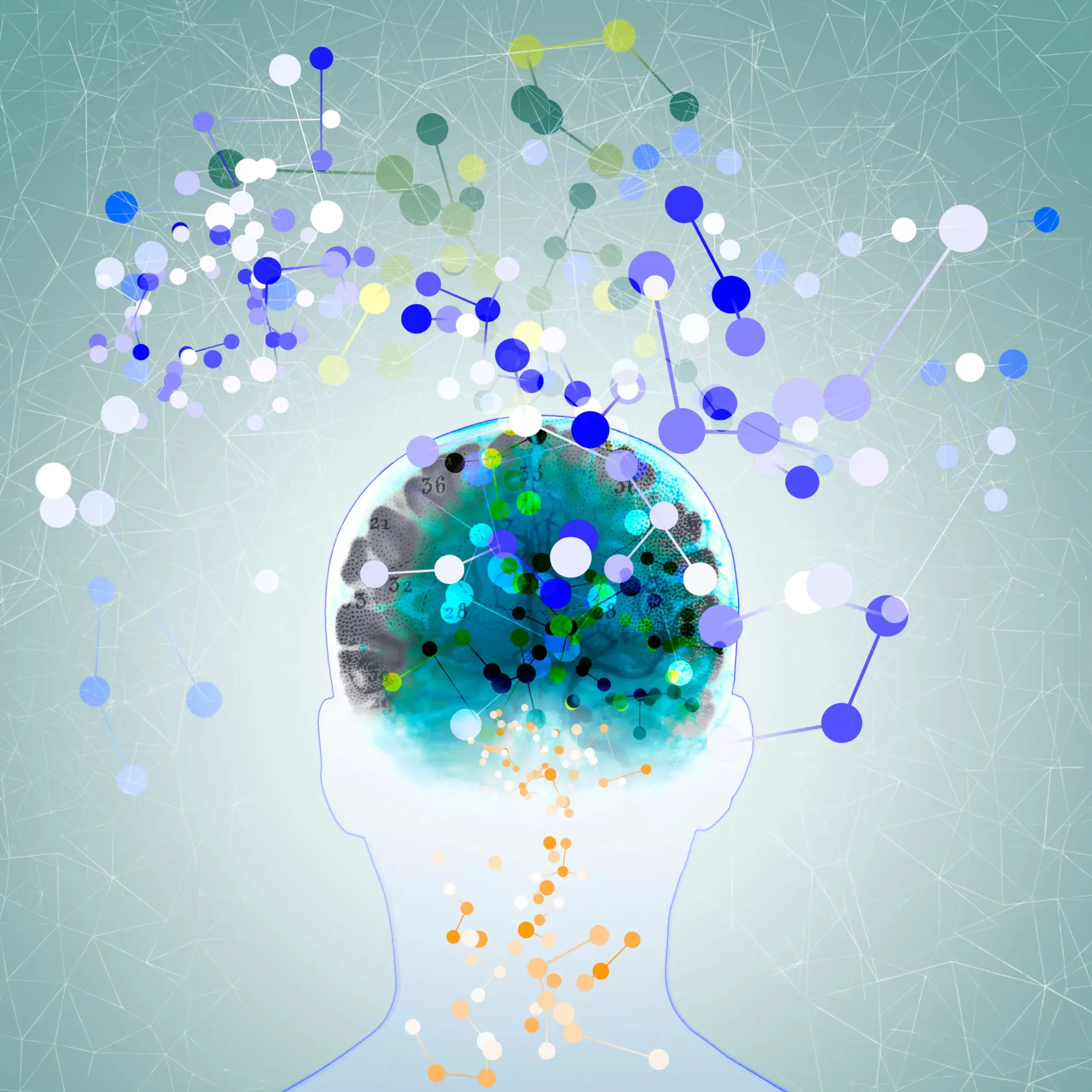 Dr Lukeides is trained to provide psychedelic and mdma assisted therapy in legal clinics in Sydney and Melbourne.