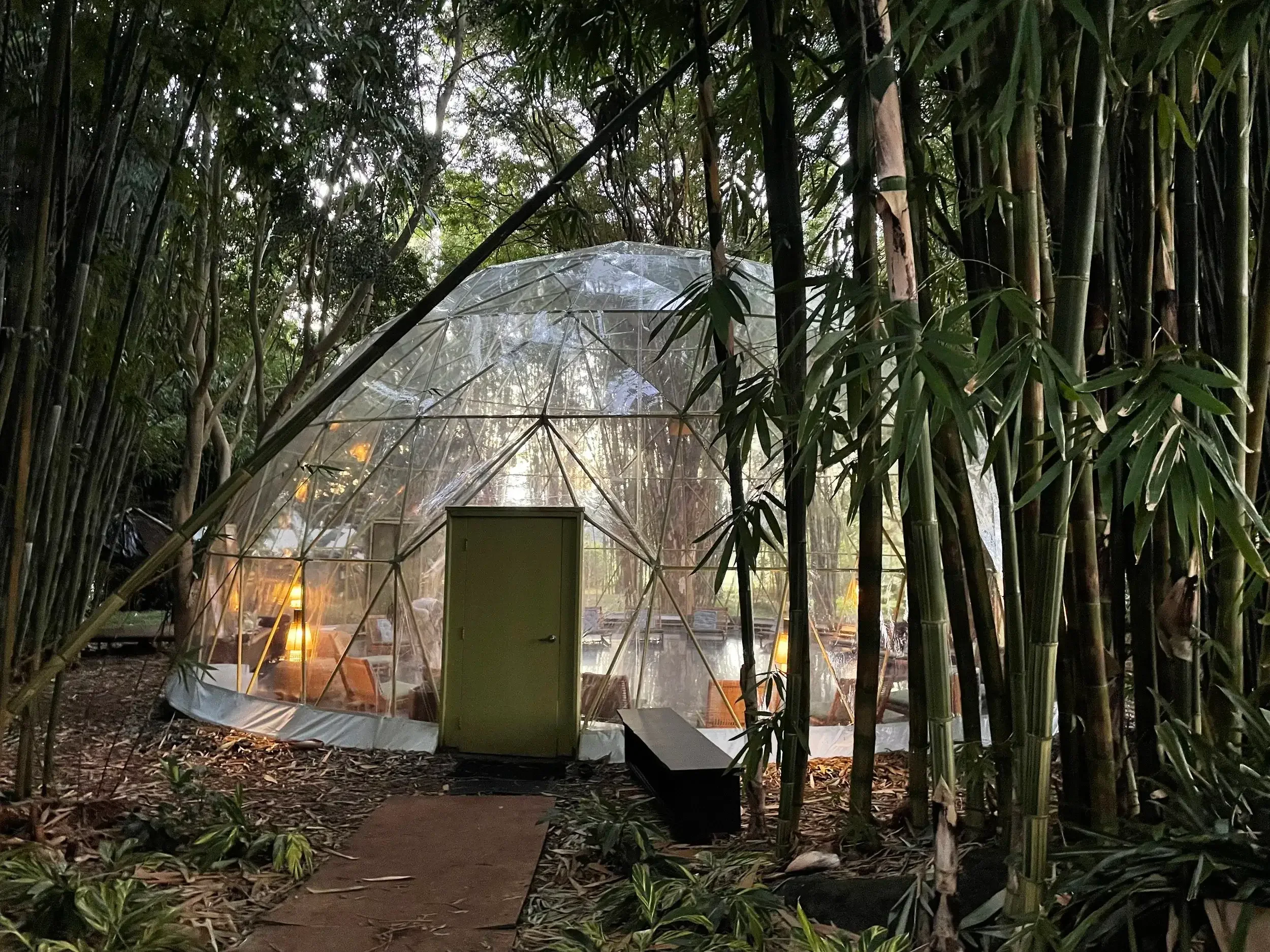 A glass greenhouse surrounded by dense bamboo forest with a dirt pathway leading to it.