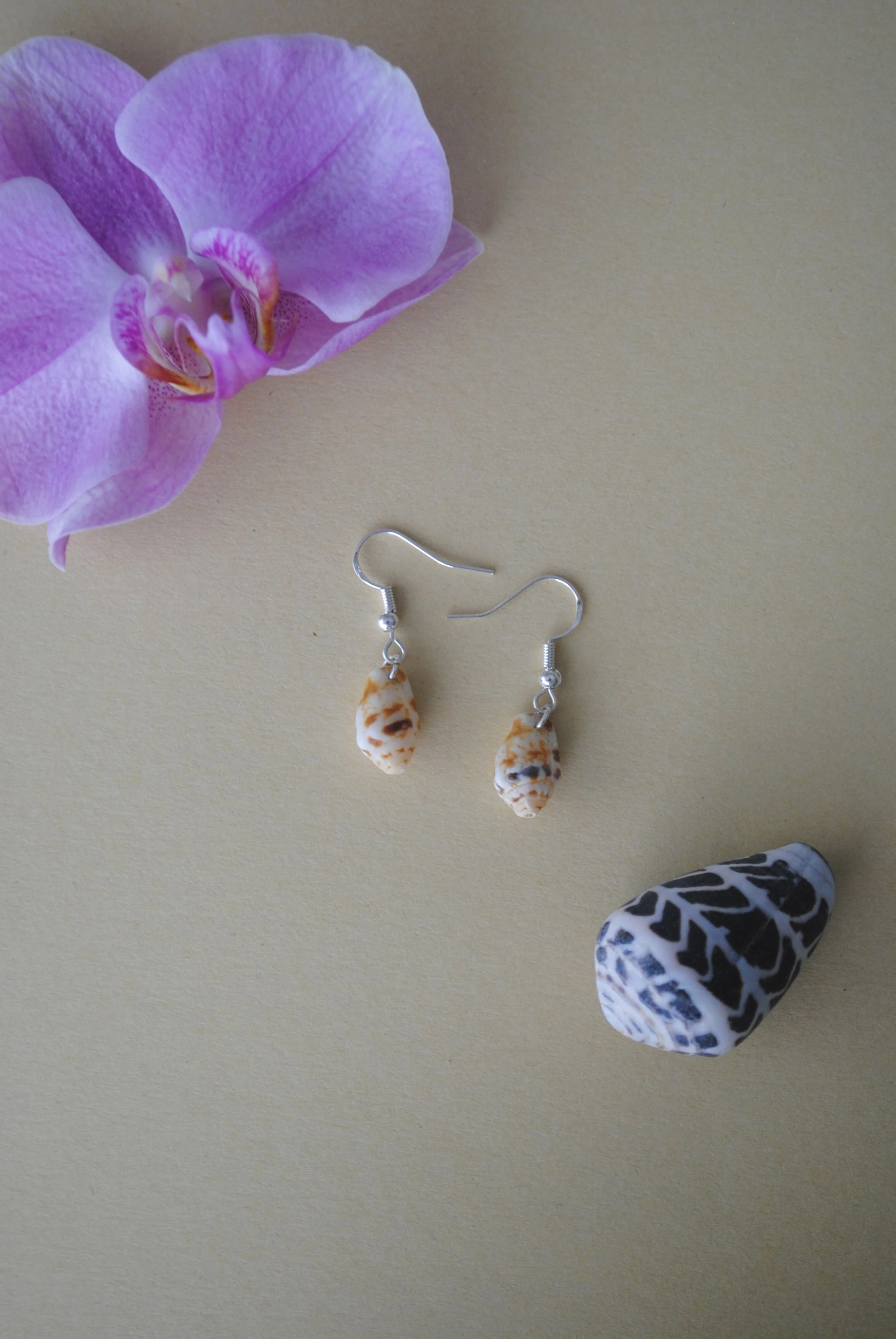 Stromb Shell Earrings