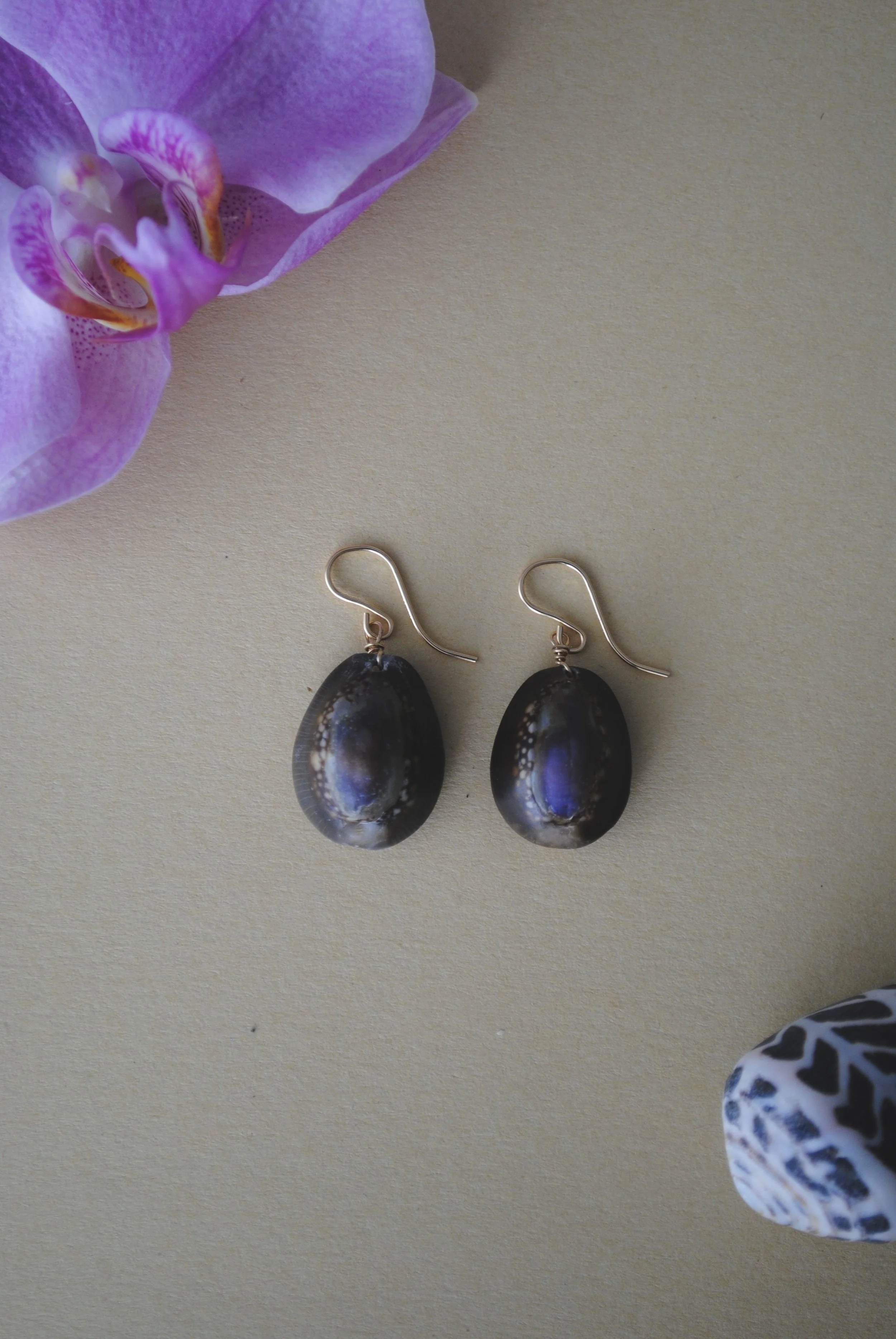 Purple Cowrie Earrings